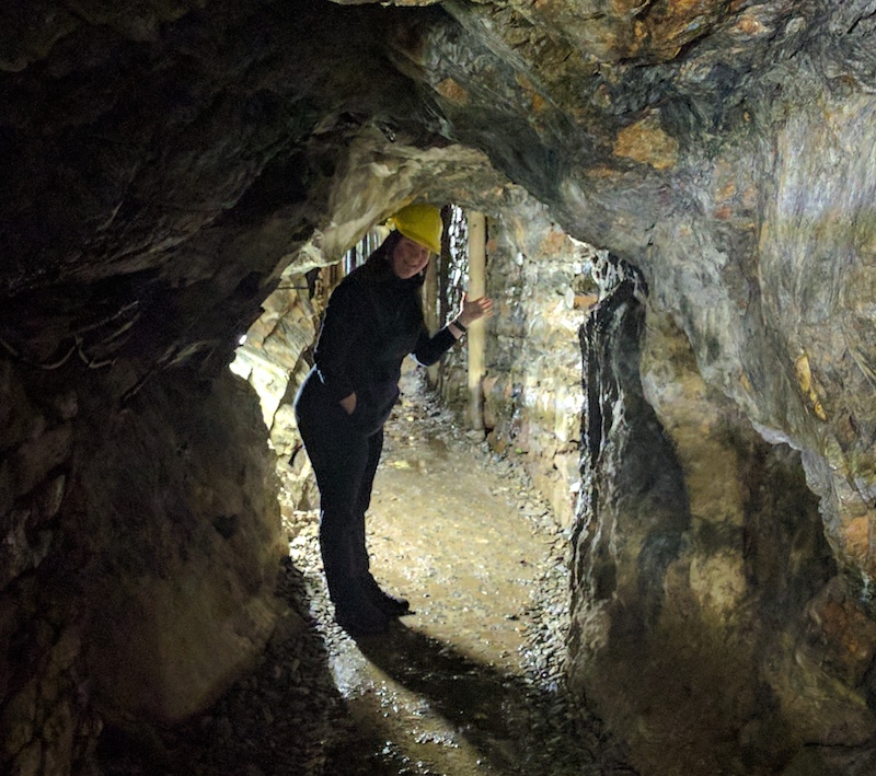 Welcome to our new website!