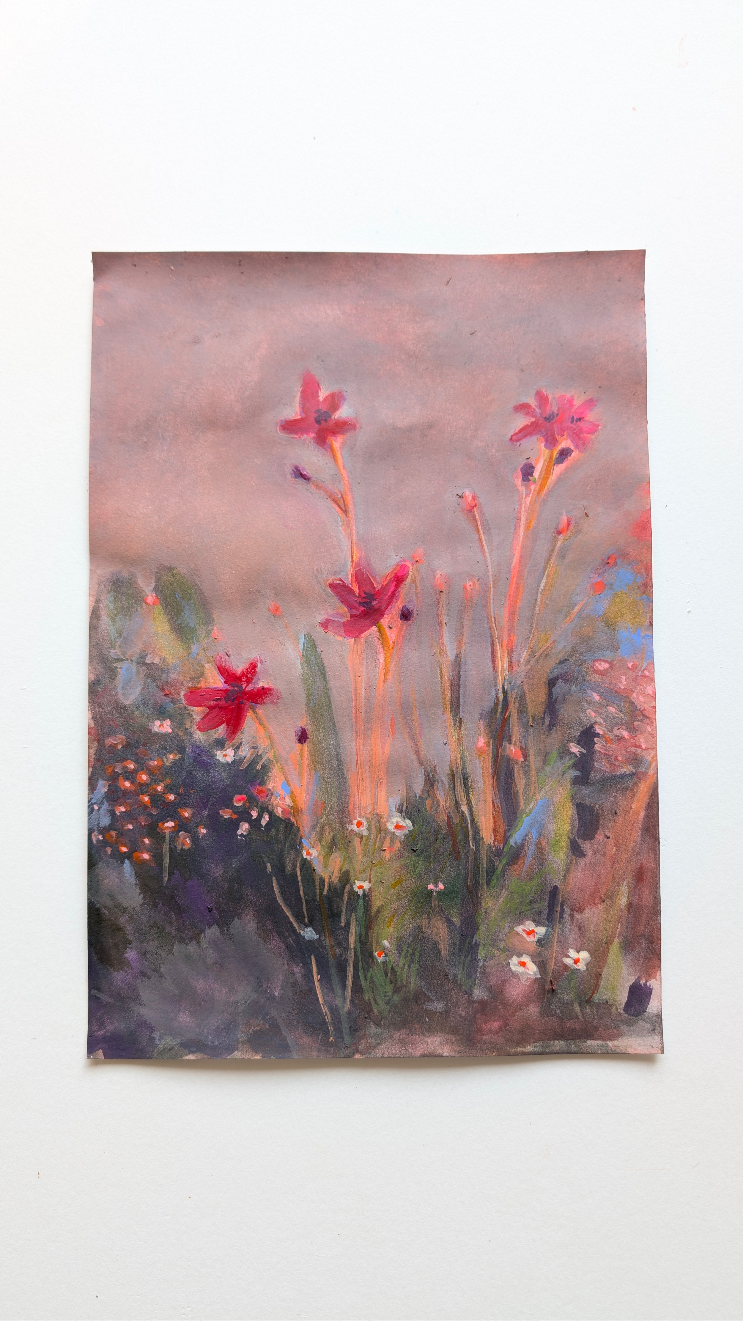 Wildflowers