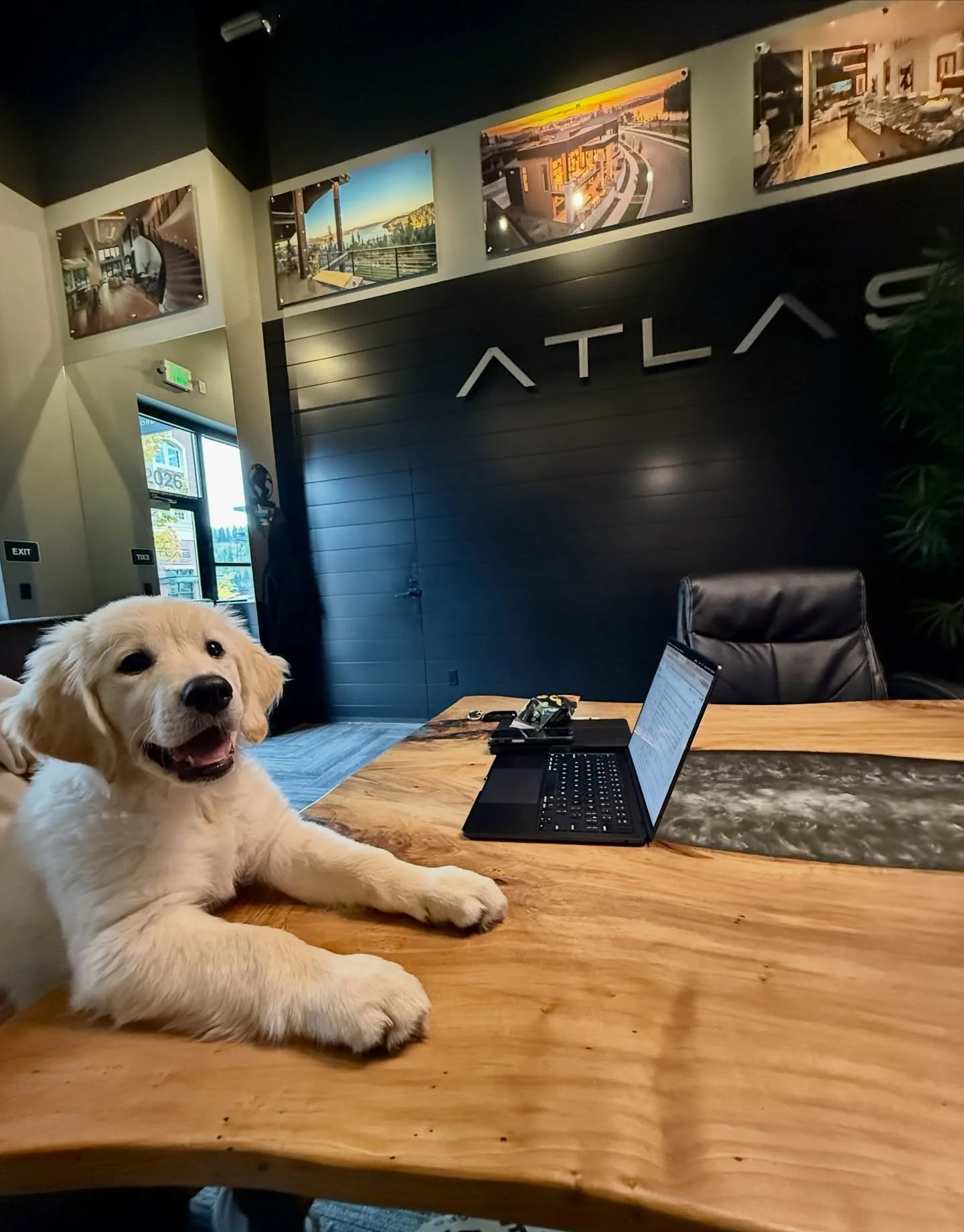 Every great home starts with a solid foundation&hellip; and a good boy to inspect the blueprints. 🏠🐶 #AtlasBuildingGroup #GoodBoy #GoldenRetriever