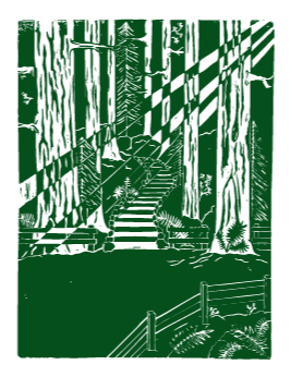 Muir Woods Bootjack Staircase