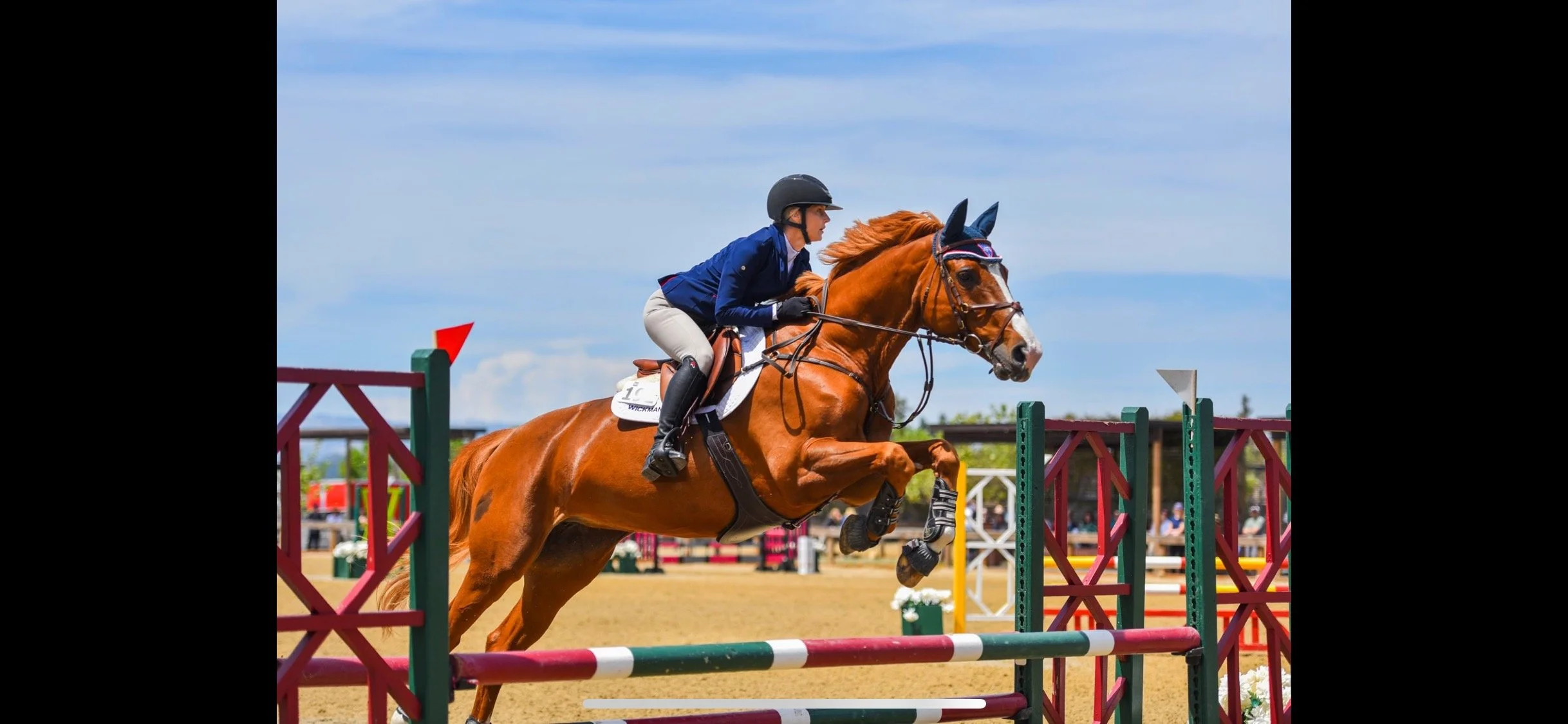A rider in a blue jacket and white pants riding a chestnut horse jumping over a hurdle during a show jumping competition.