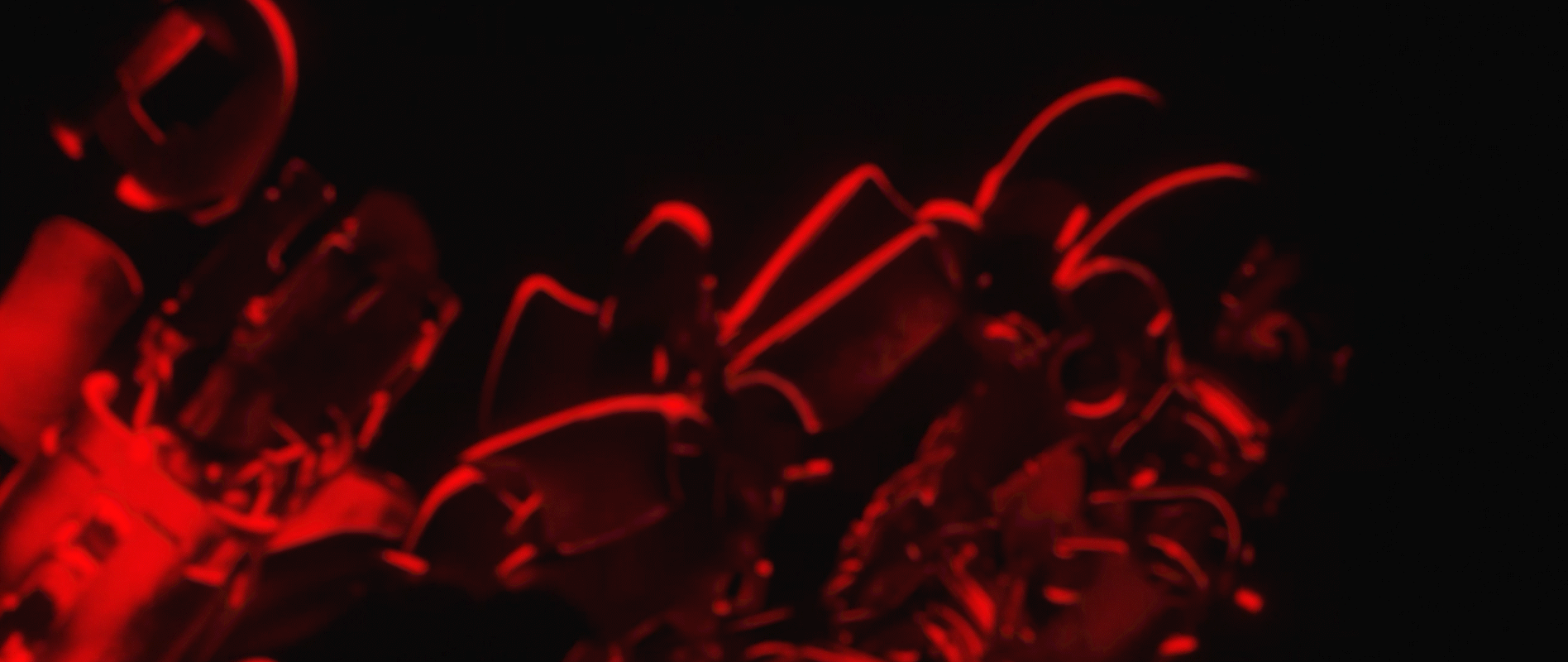 LOVEME_GIF_007.gif