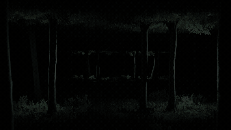 Forrest_Combined_4.gif