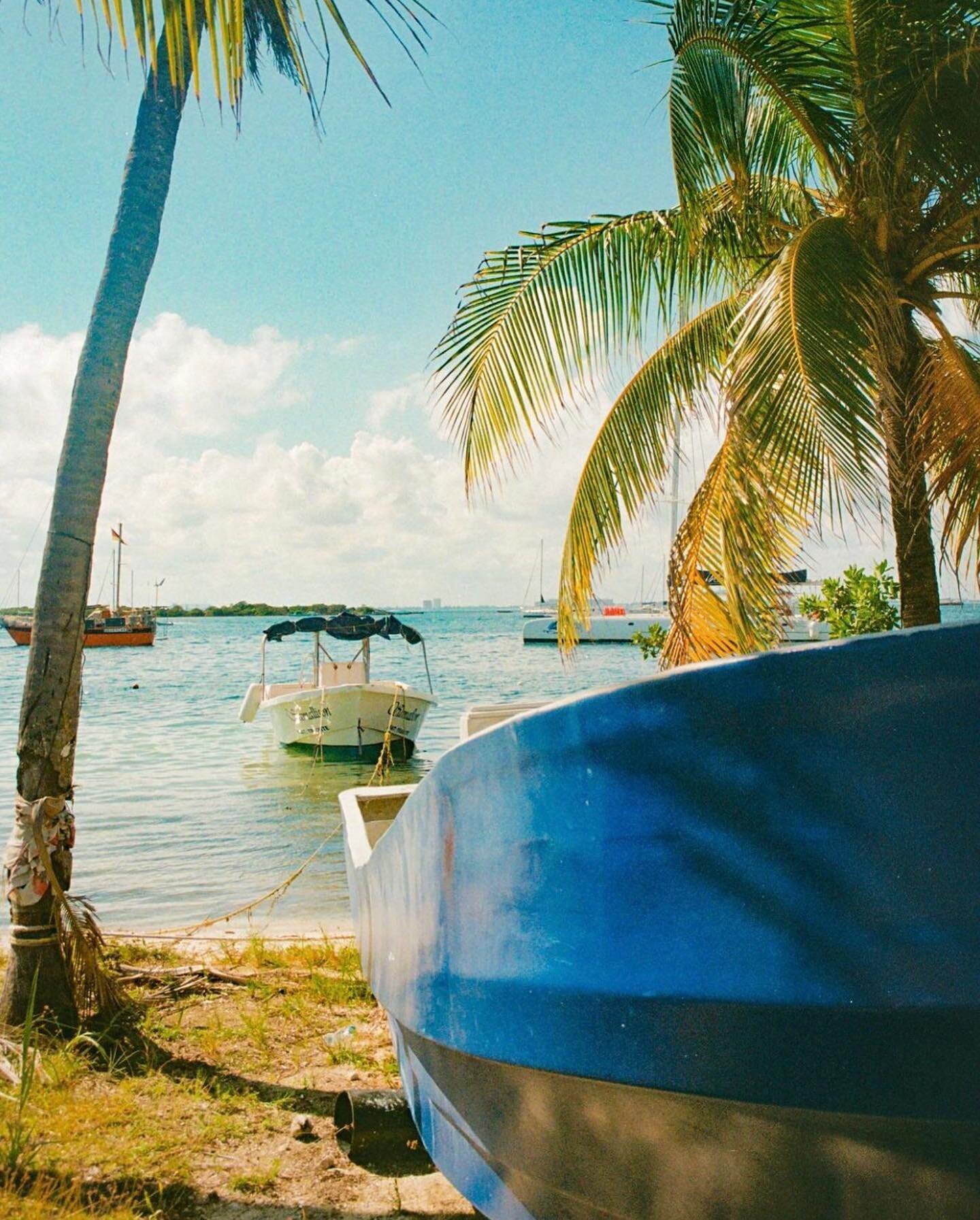 🎞 artist 🎞 @sayifilm 

Sayi has us dreaming of warmer, tropical days with these killer shots 🌴 

➤ tag us or use #y35mag to be featured 
➤ chosen by: @filmbytory