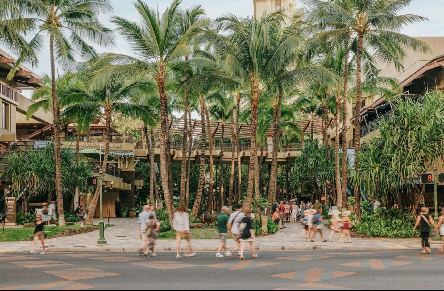 カラカウア通りでの究極のショッピング体験をお楽しみください。ハワイの活気あふれるスピリットとラグジュアリーな雰囲気が融合した、ロイヤル・ハワイアン・センター 。ワールドクラスのショッピングとエキサイティングな文化体験、まさにパラダイスに浸ってください。