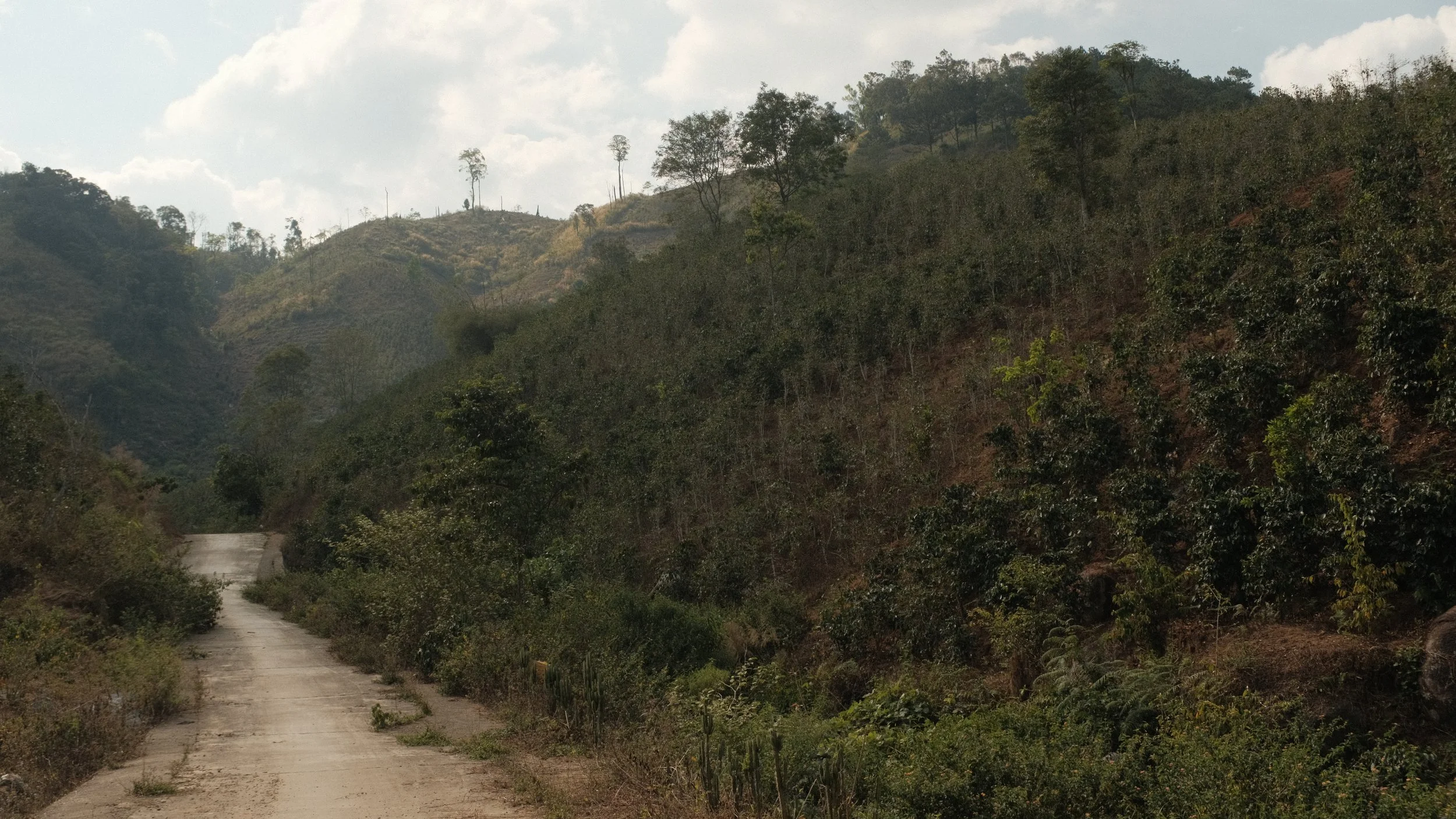 Vietnam…More than Robusta