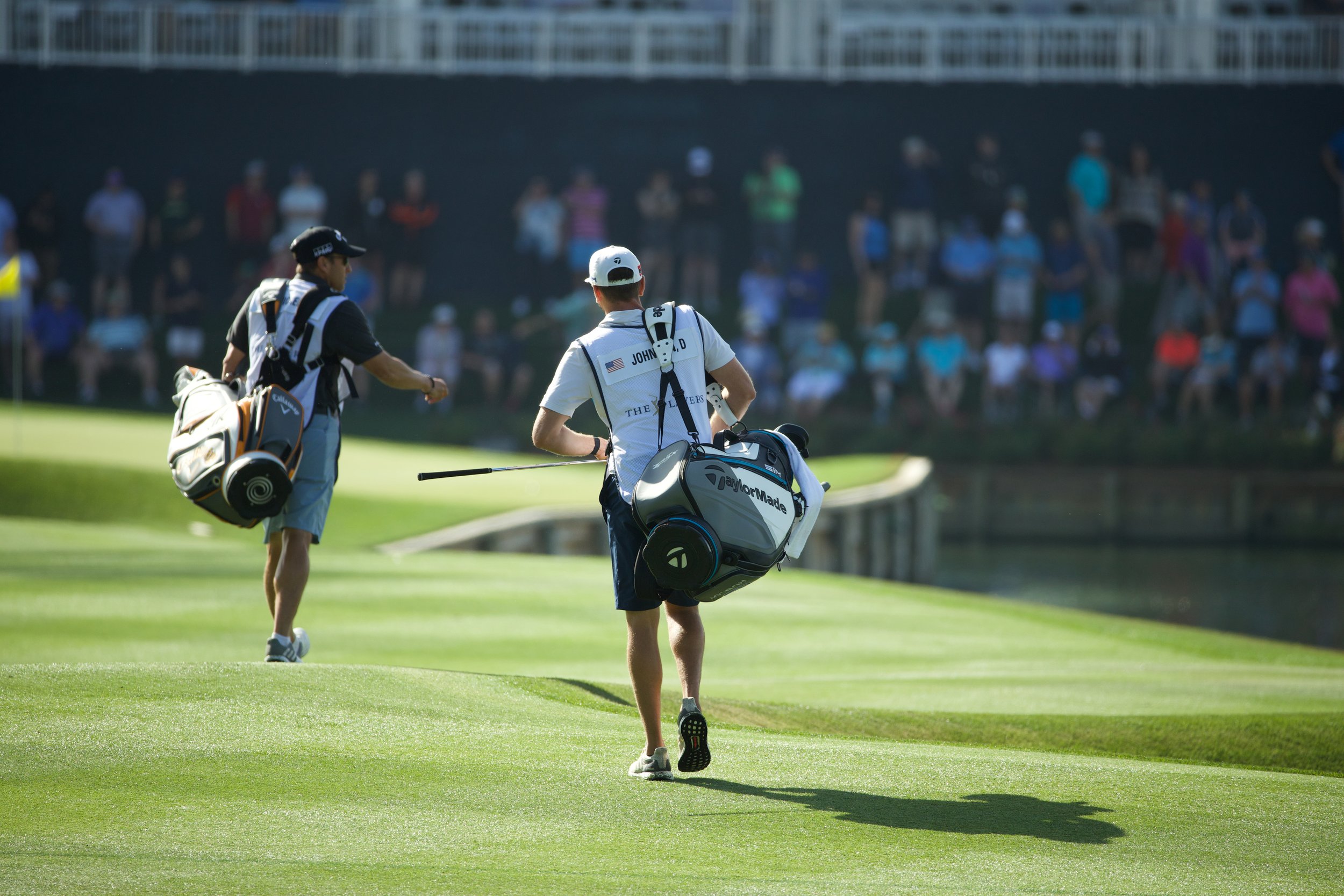 Association of Professional Tour Caddies