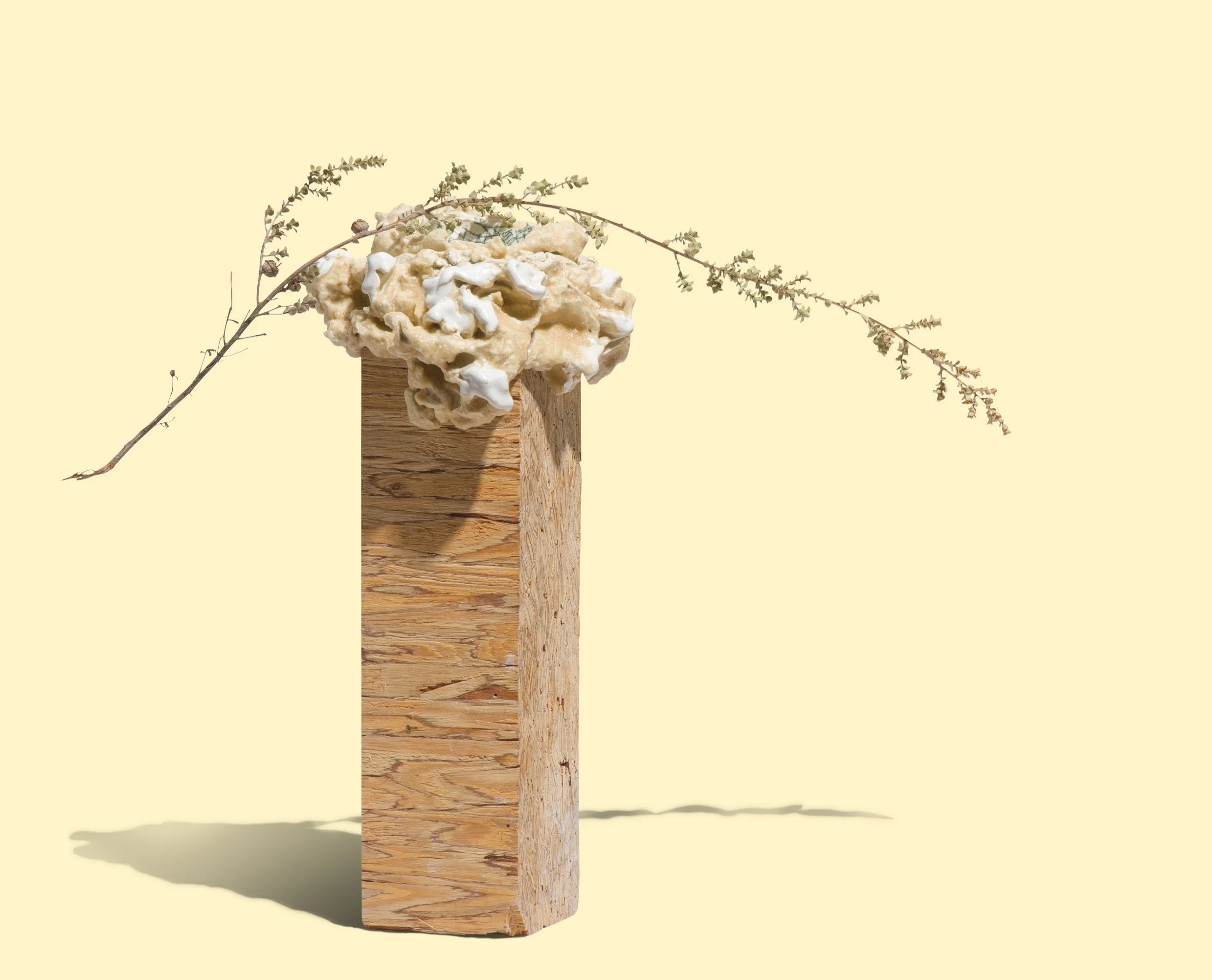 GH-ColorBG-Nest-075.jpg