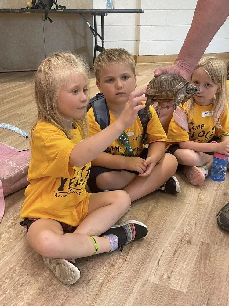 Why Momentum Early Learning’s Camp Velocity Is the Perfect Place for Summer