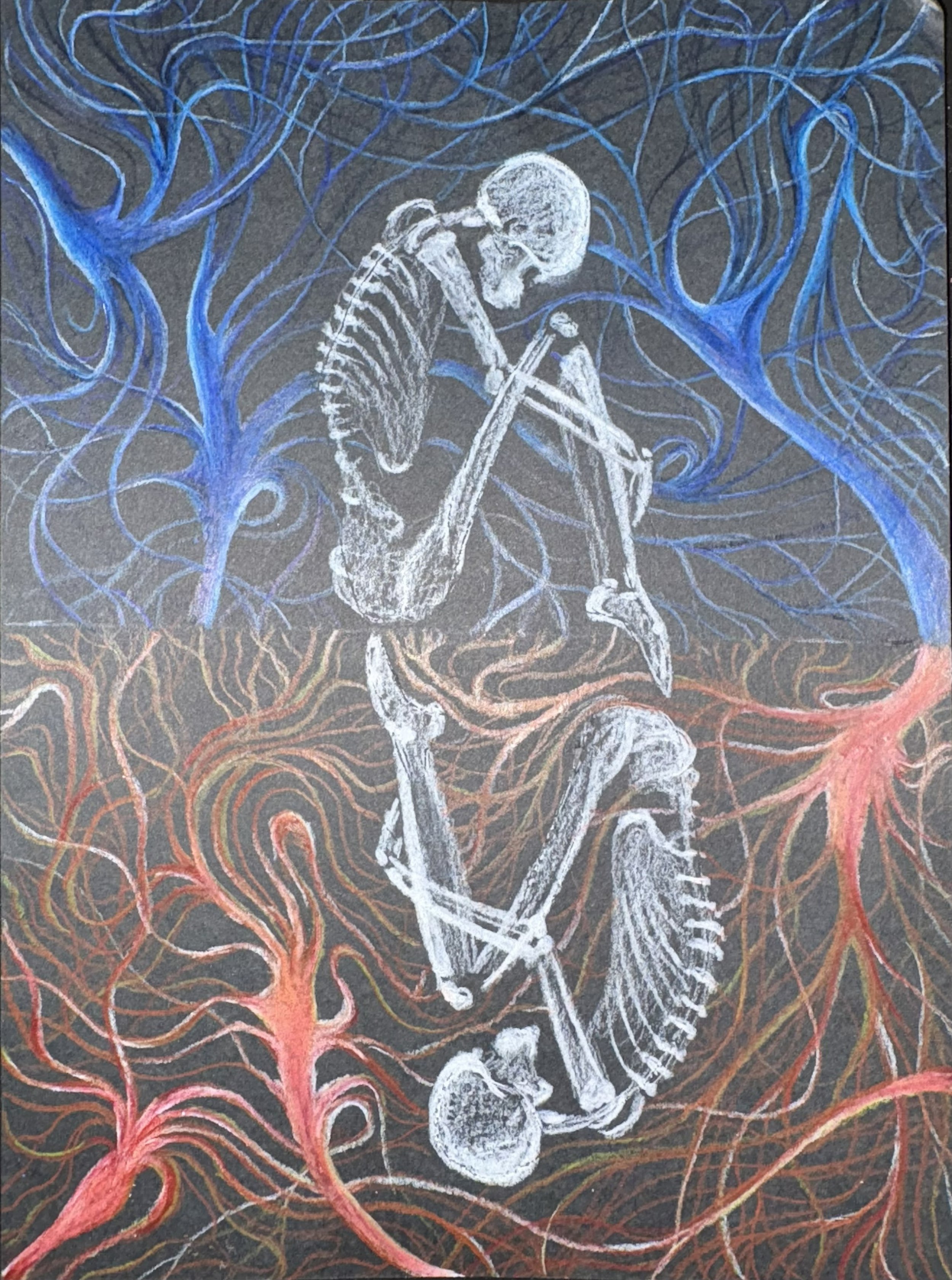 Yoga and the Vagus Nerve: How Pranayama Tunes the Brain-Body Connection