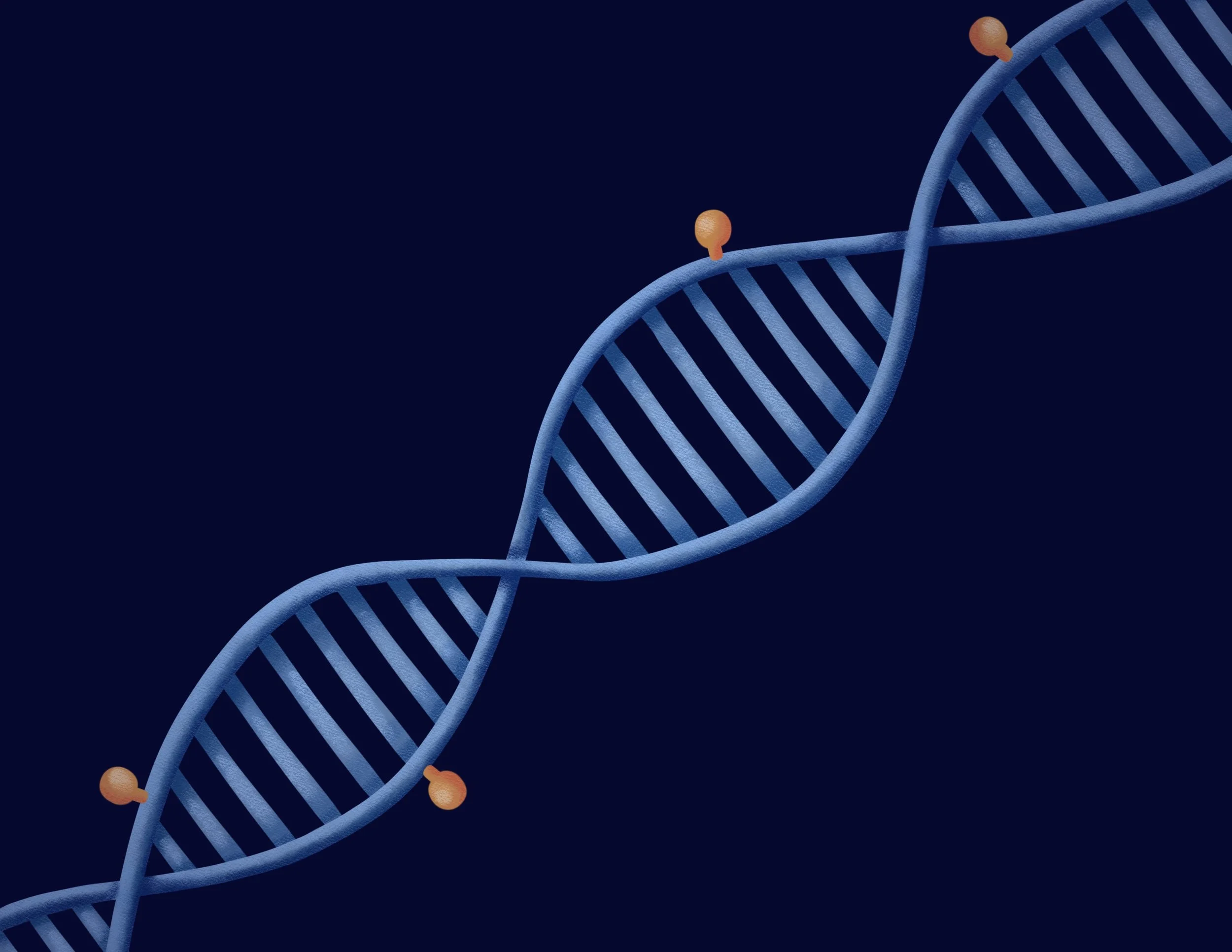 The Epigenetics of Bipolar Disorder