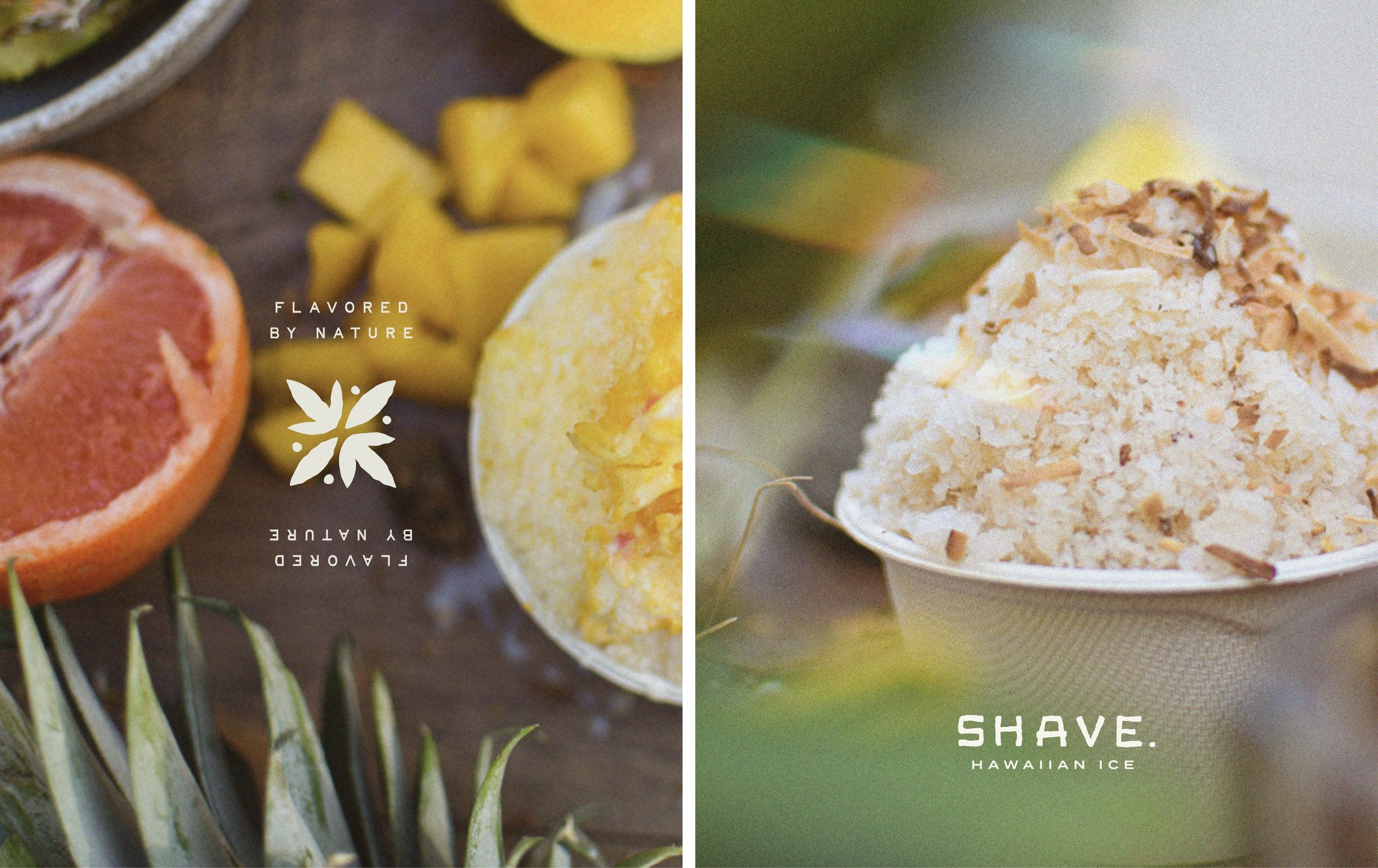Shave Website 2-08.jpg