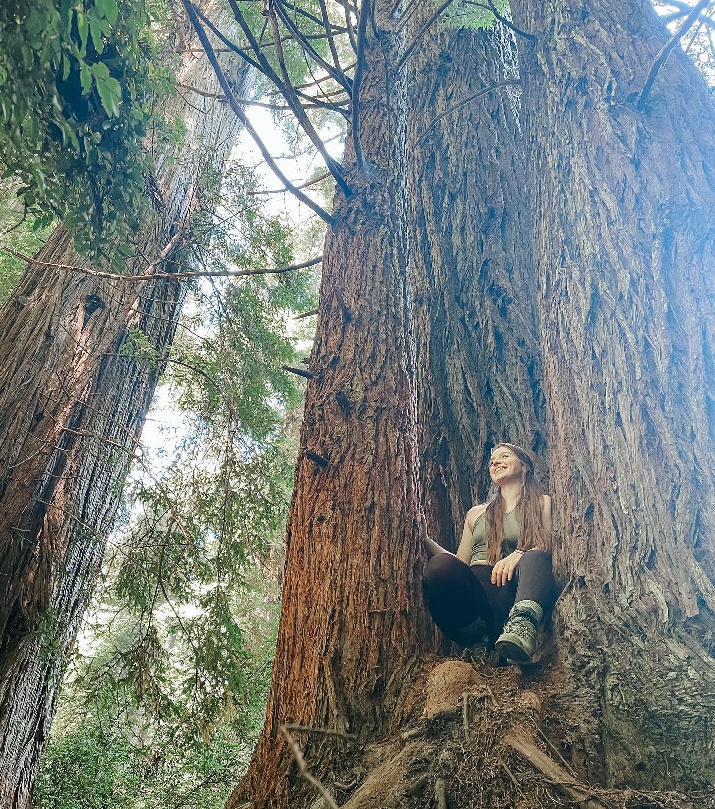 Happy Earth Day! We&rsquo;re surrounded by magic. The rain, the trees, the mountains, the seas. Everything living and breathing together, connected!
🌎✨
Take some time to go outside today. Touch (or hug) a tree, feel the grass beneath your feet, feel
