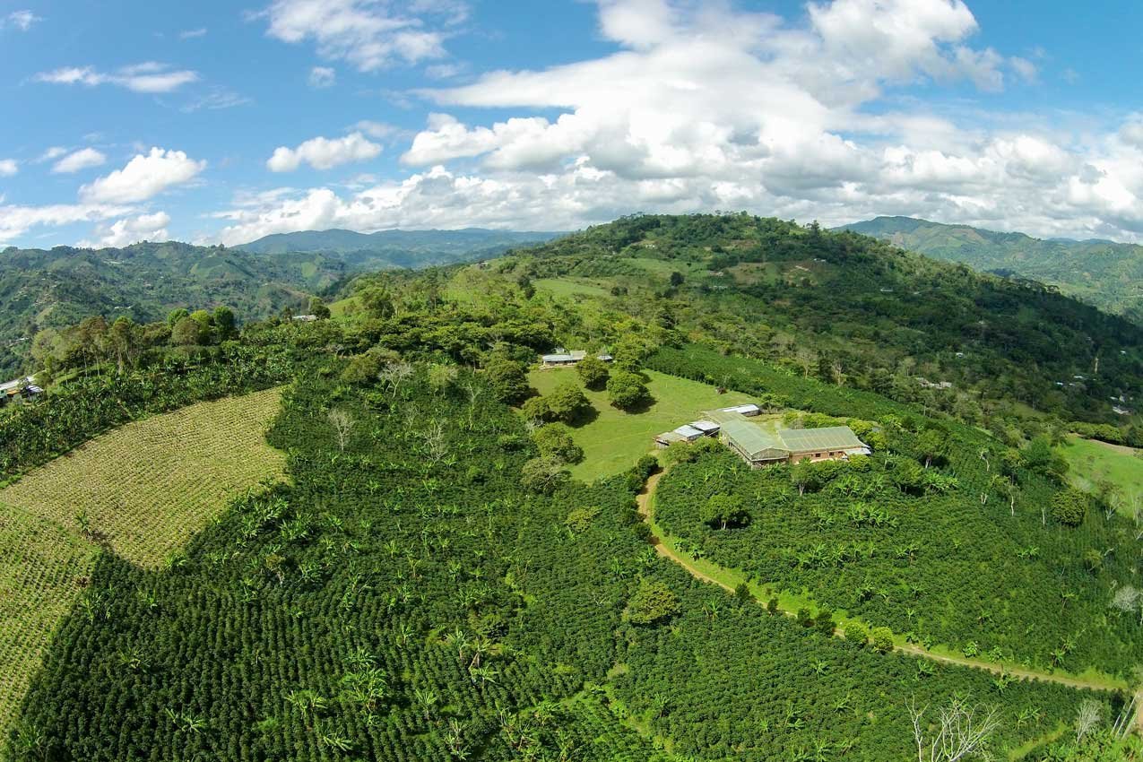 Columbia Huila.jpg