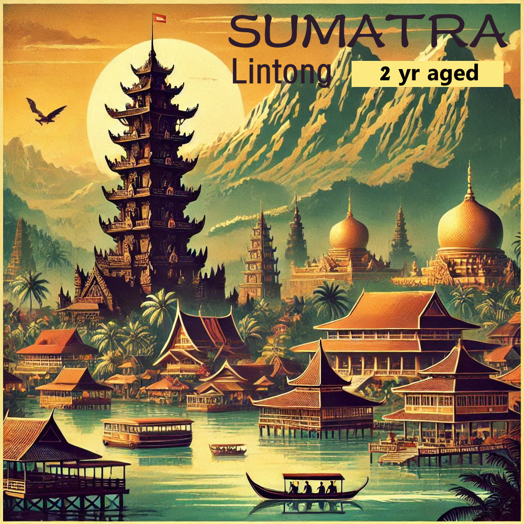 Sumatra-Lintong (2 yr aged)