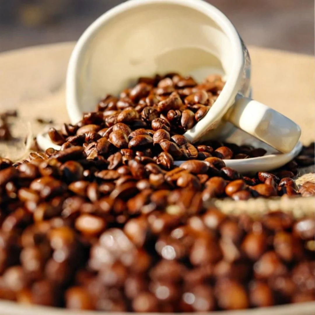 3d cup of beans.jpg