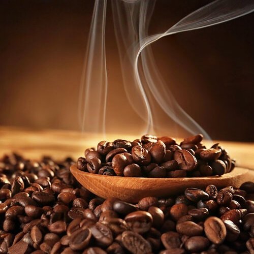 Beans Steaming (2) (1).jpg
