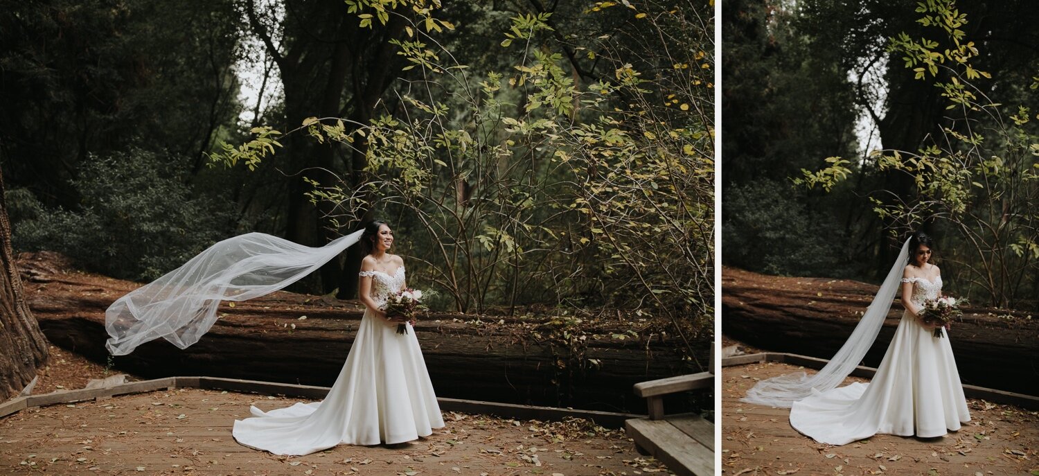 17_Rachel_Levine_Photography_Muir Woods_Wedding (26)_Rachel_Levine_Photography_Muir Woods_Wedding (27).jpg