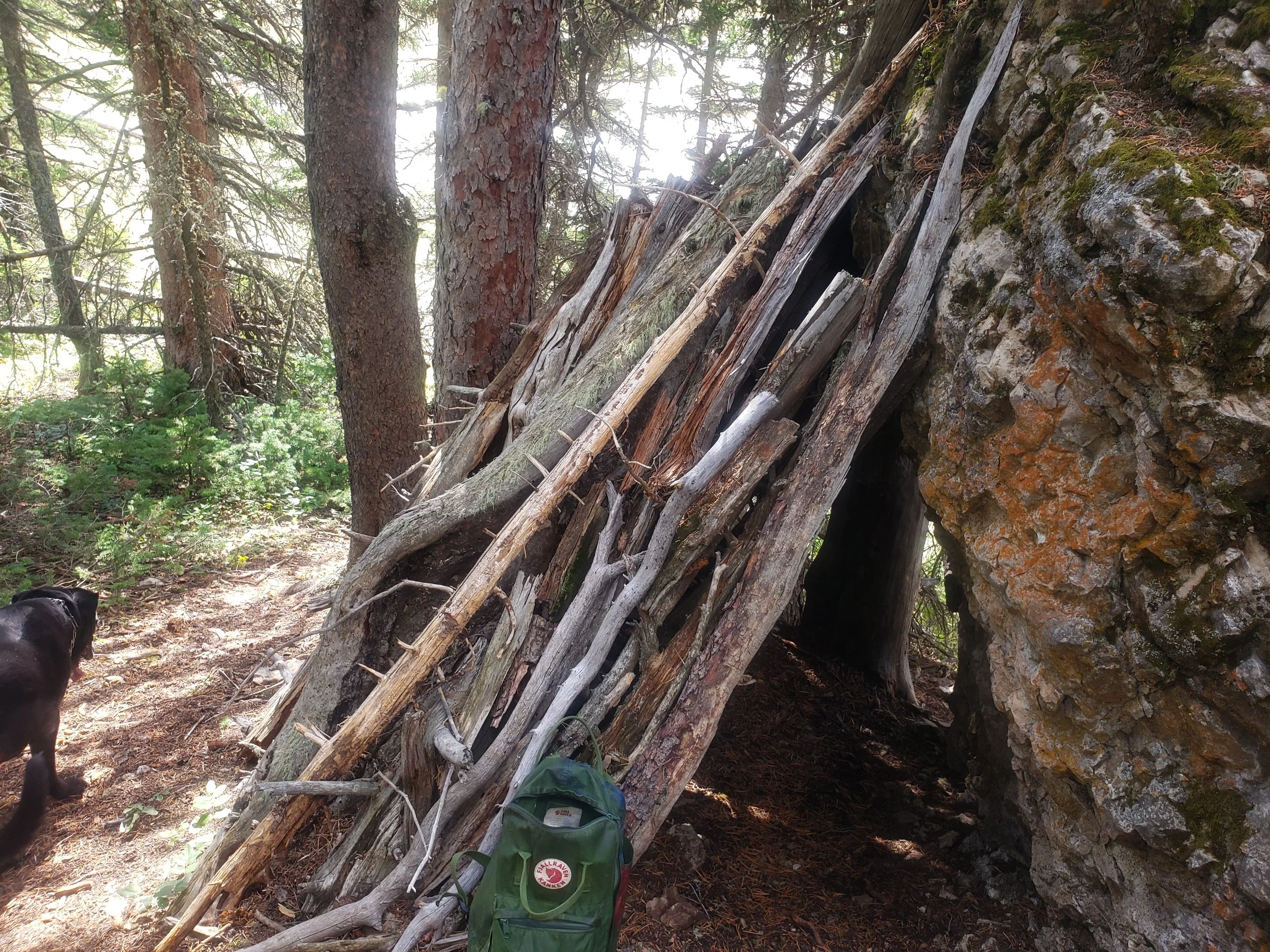 Roaming with Fjall Raven's classic Kanken backpack