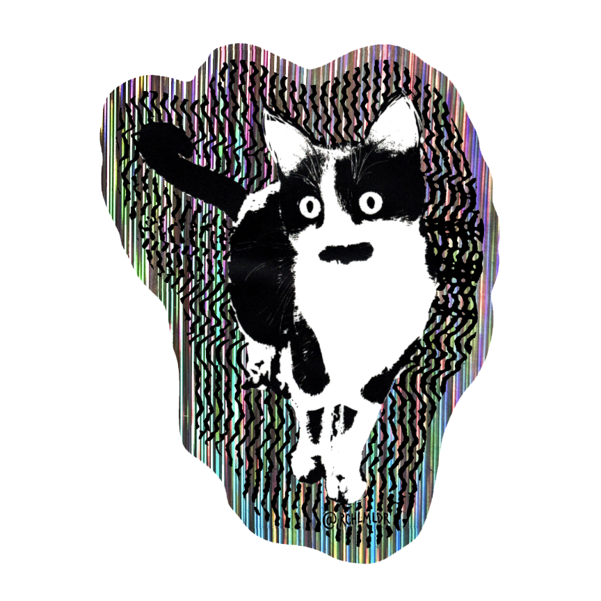 TOMASINA_WARP_MOCK.png