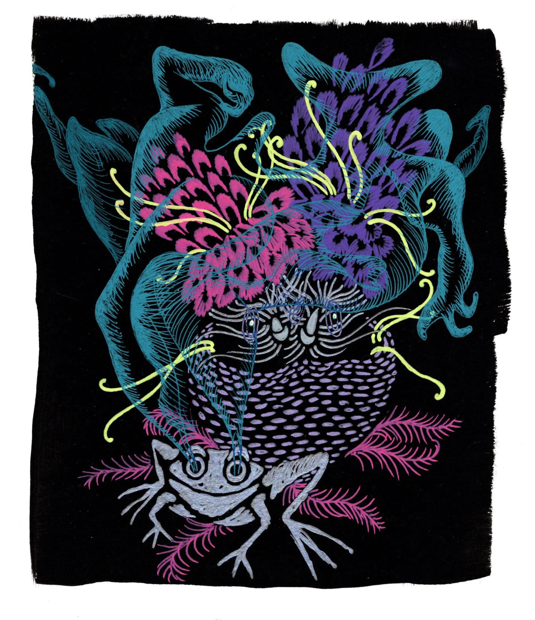 Frog's Gaze, 2026. gel pen on black gessoed paper. 6 x 7 inches