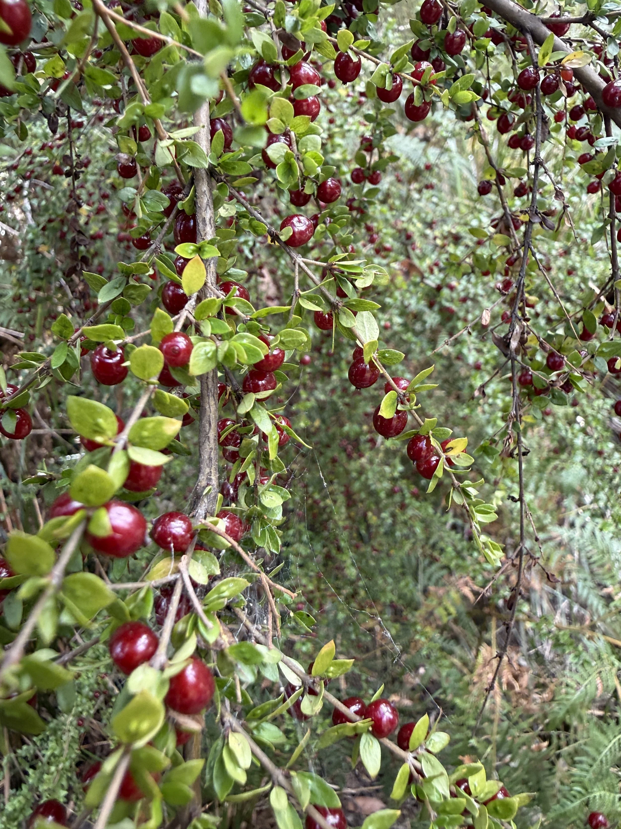 2026-02-28 14.22.37.jpg