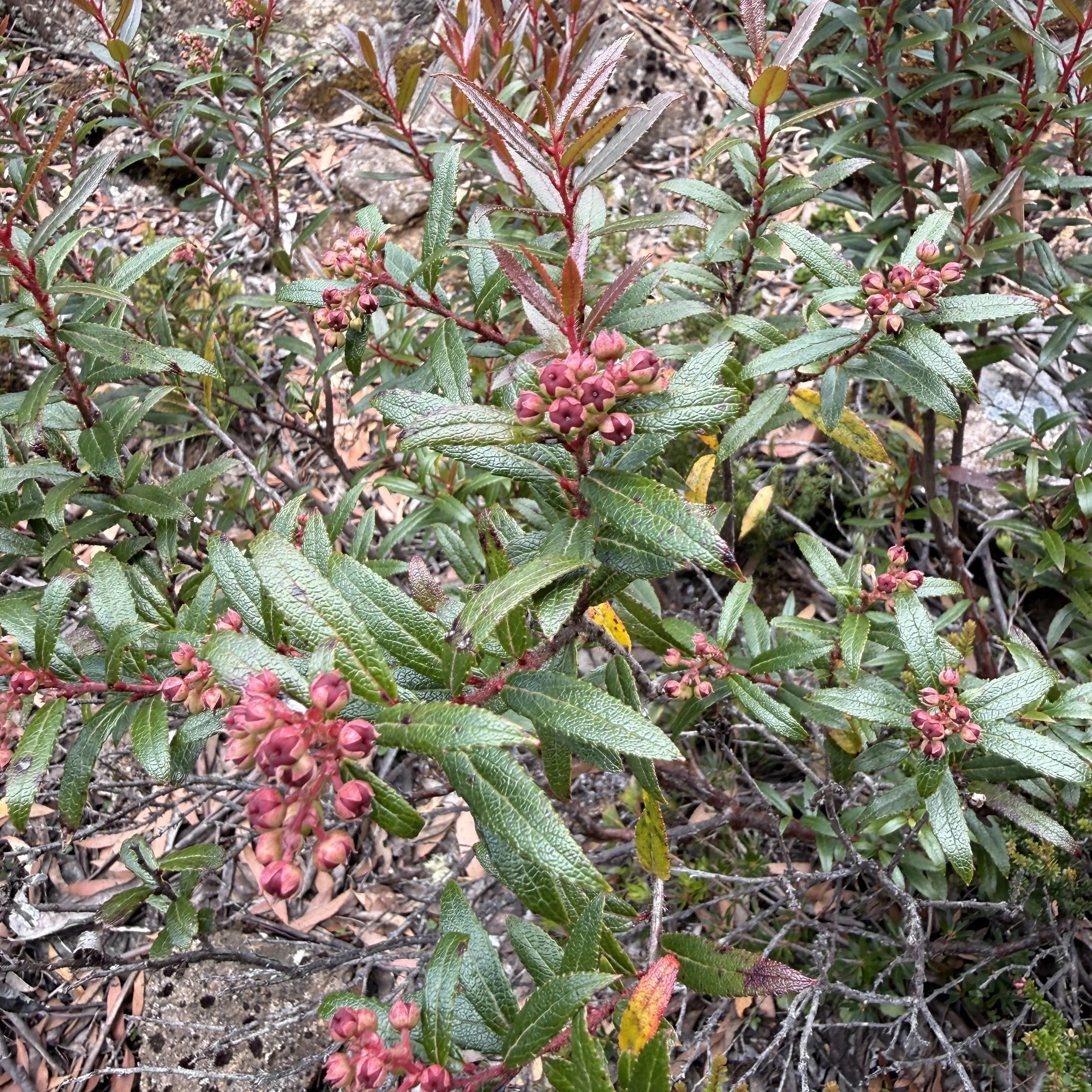 2026-02-22 10.46.55-2.jpg