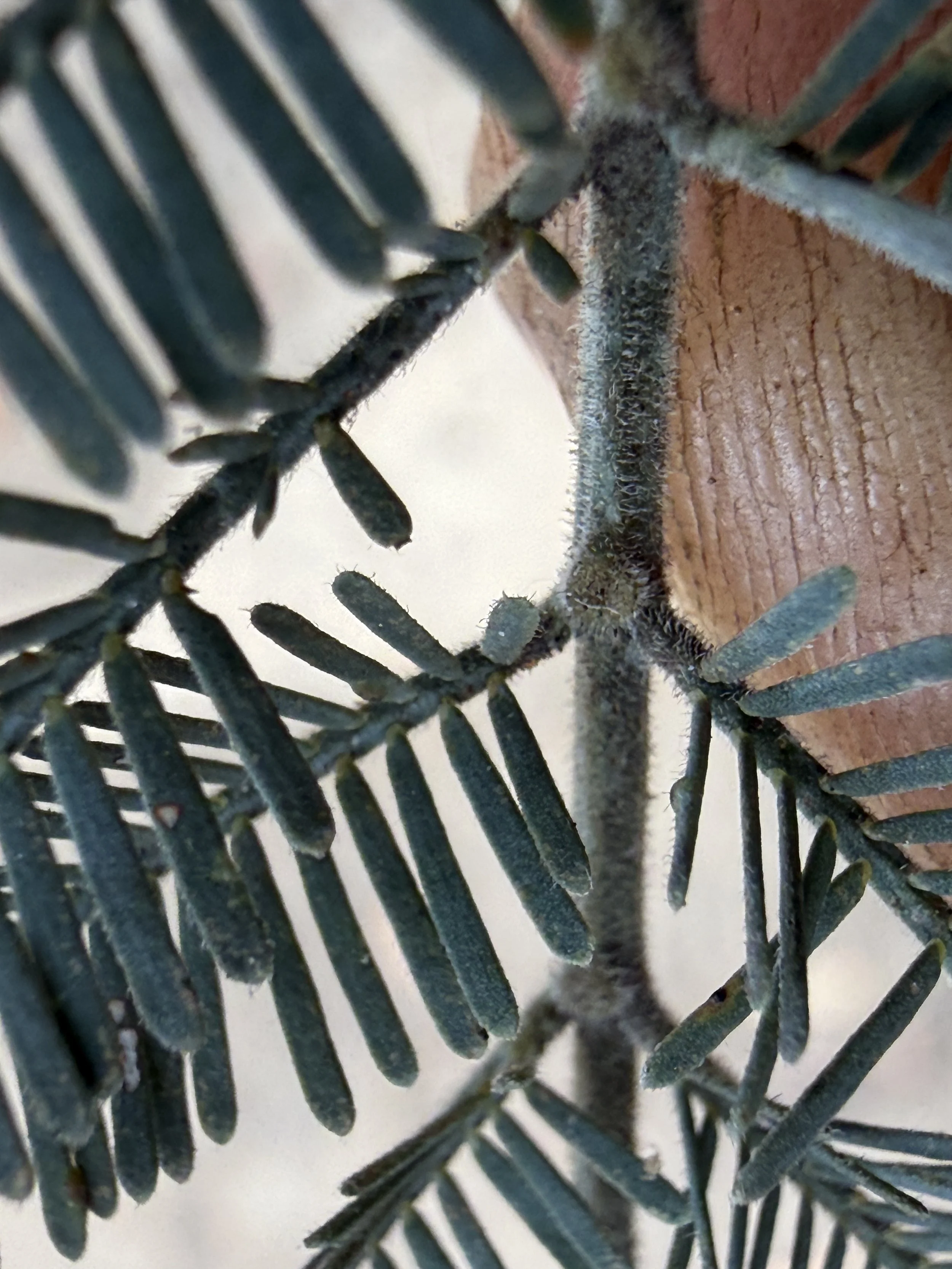 2026-02-28 14.43.19.jpg