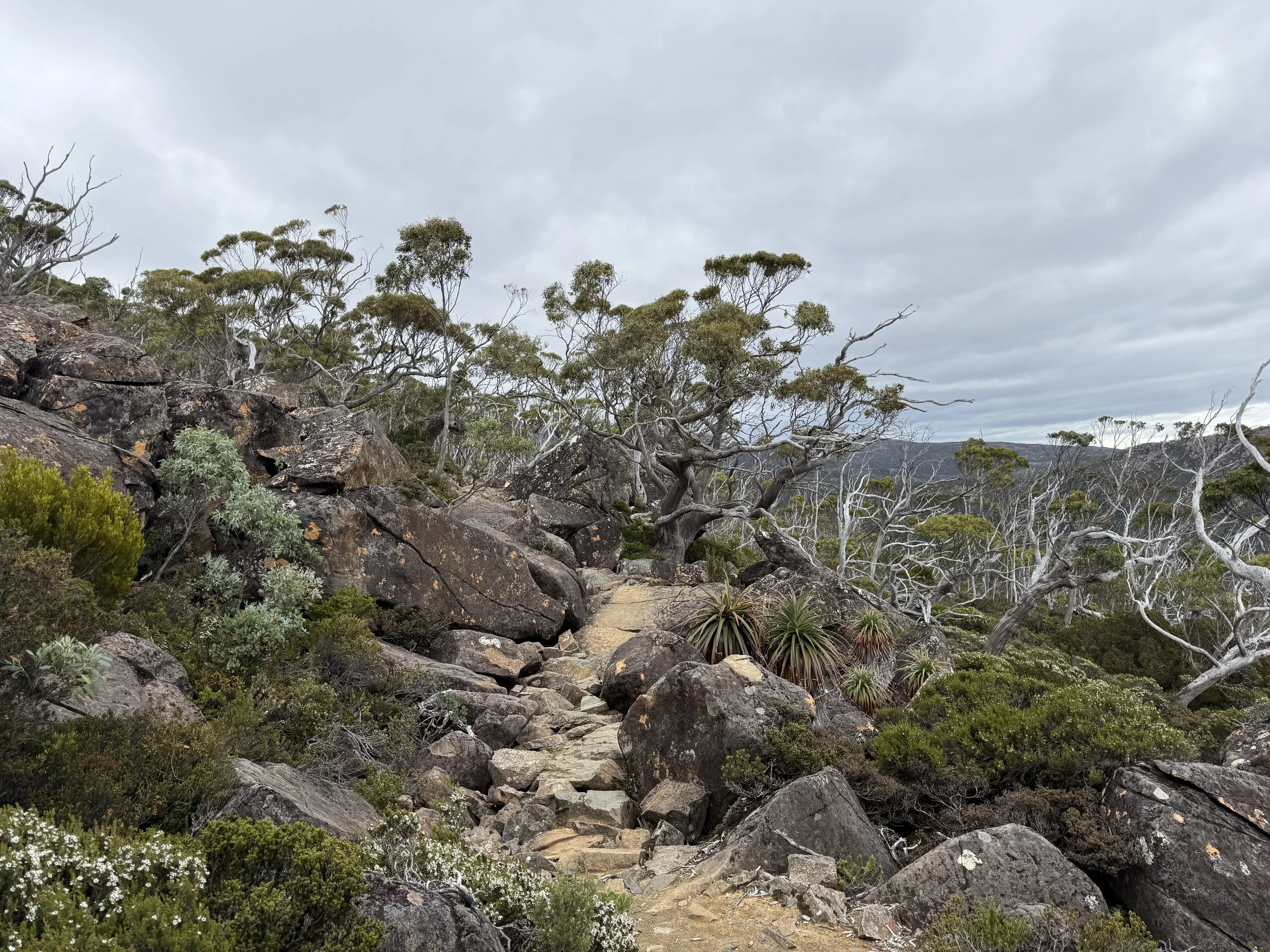 2026-02-22 11.25.40-1.jpg