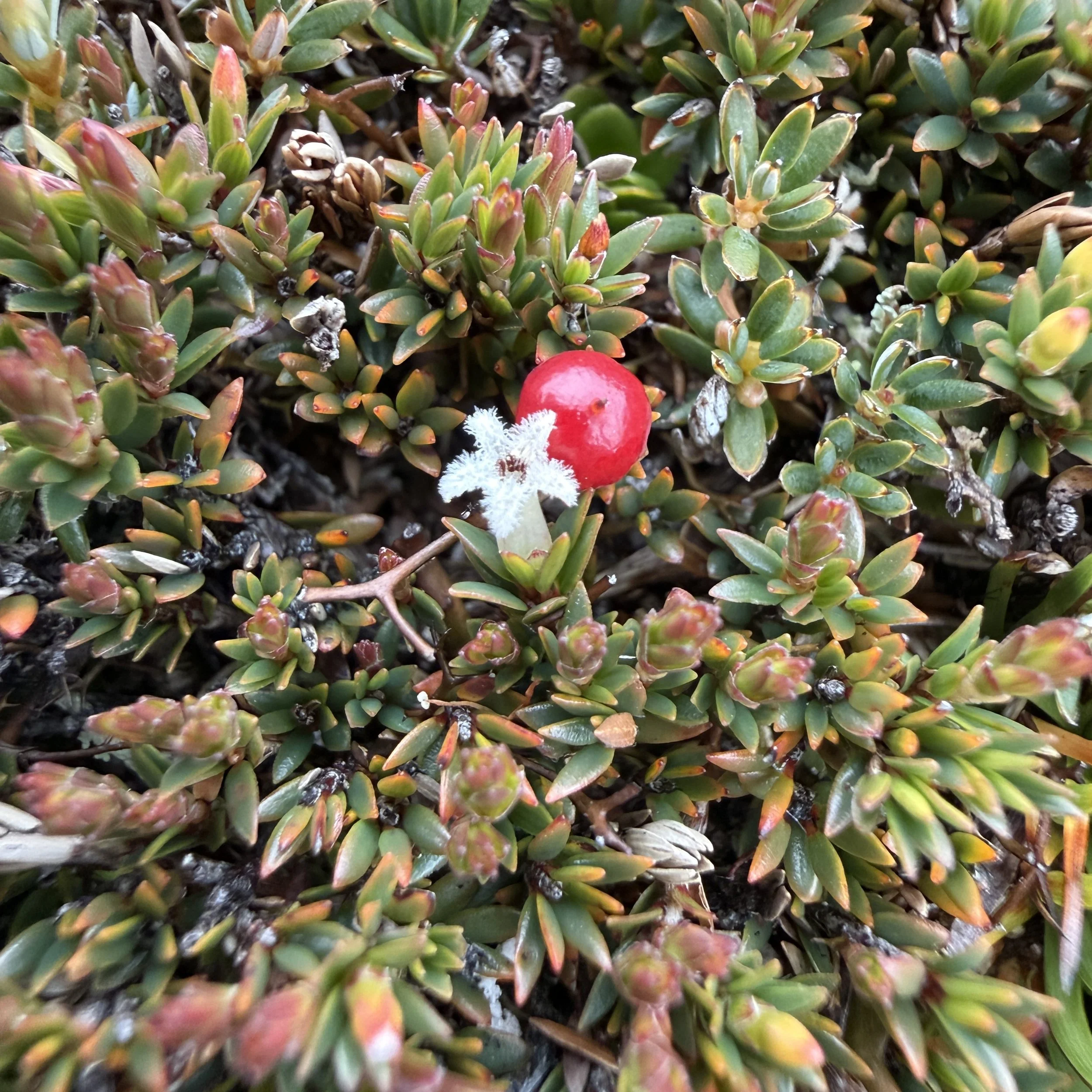 2026-02-22 12.05.49-2.jpg