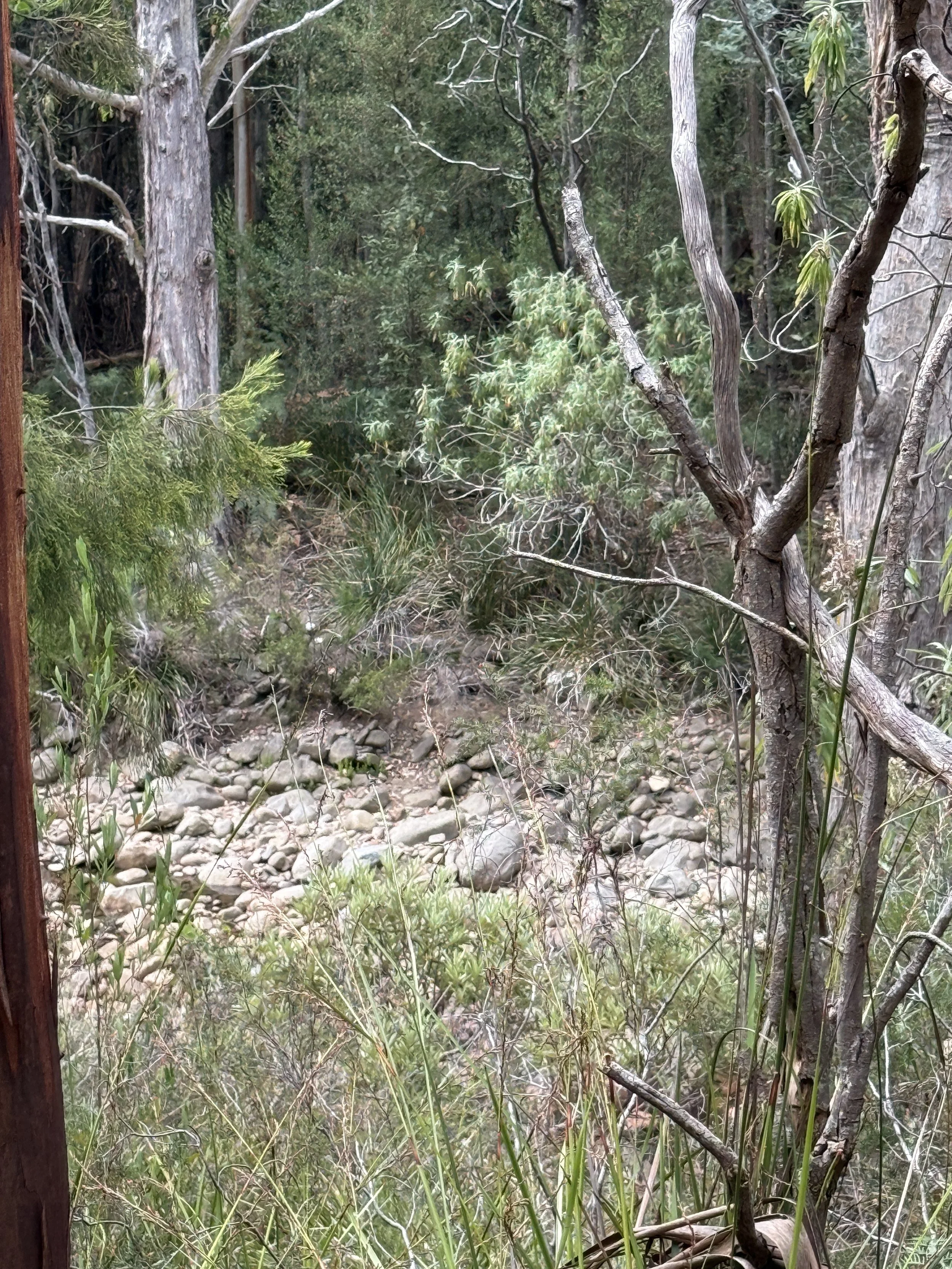 2026-02-28 14.48.16.jpg