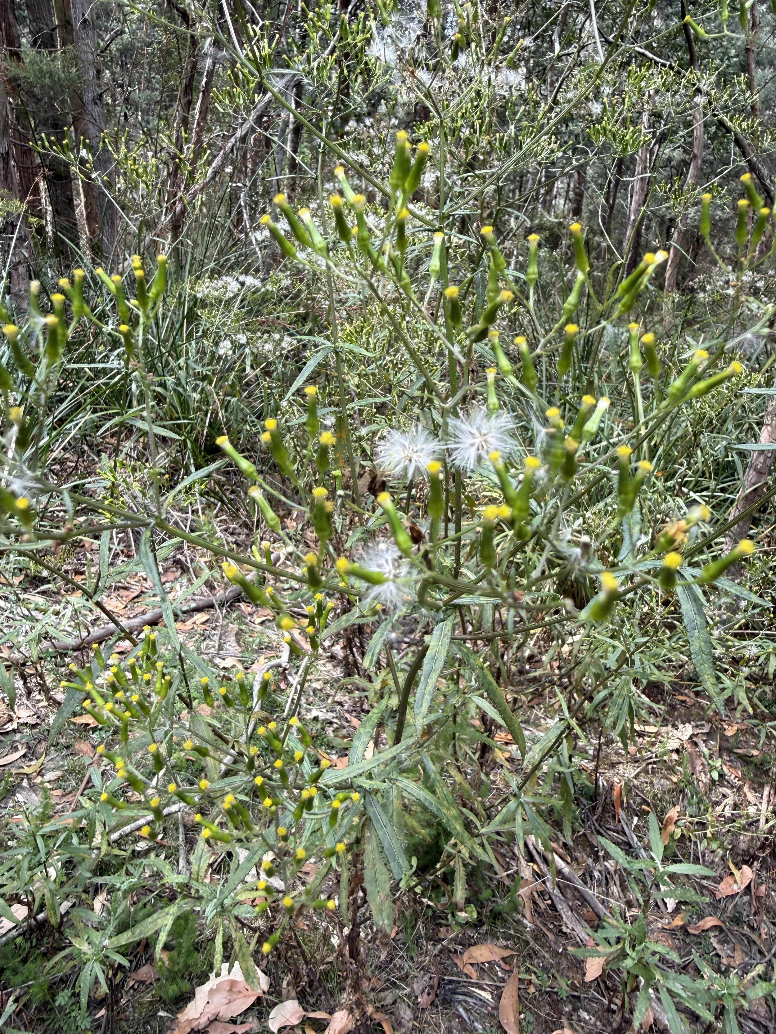 2026-02-28 14.30.04.jpg