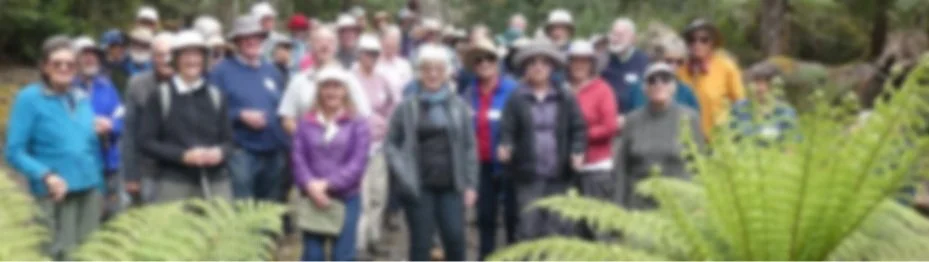 Hobart Group Walk 