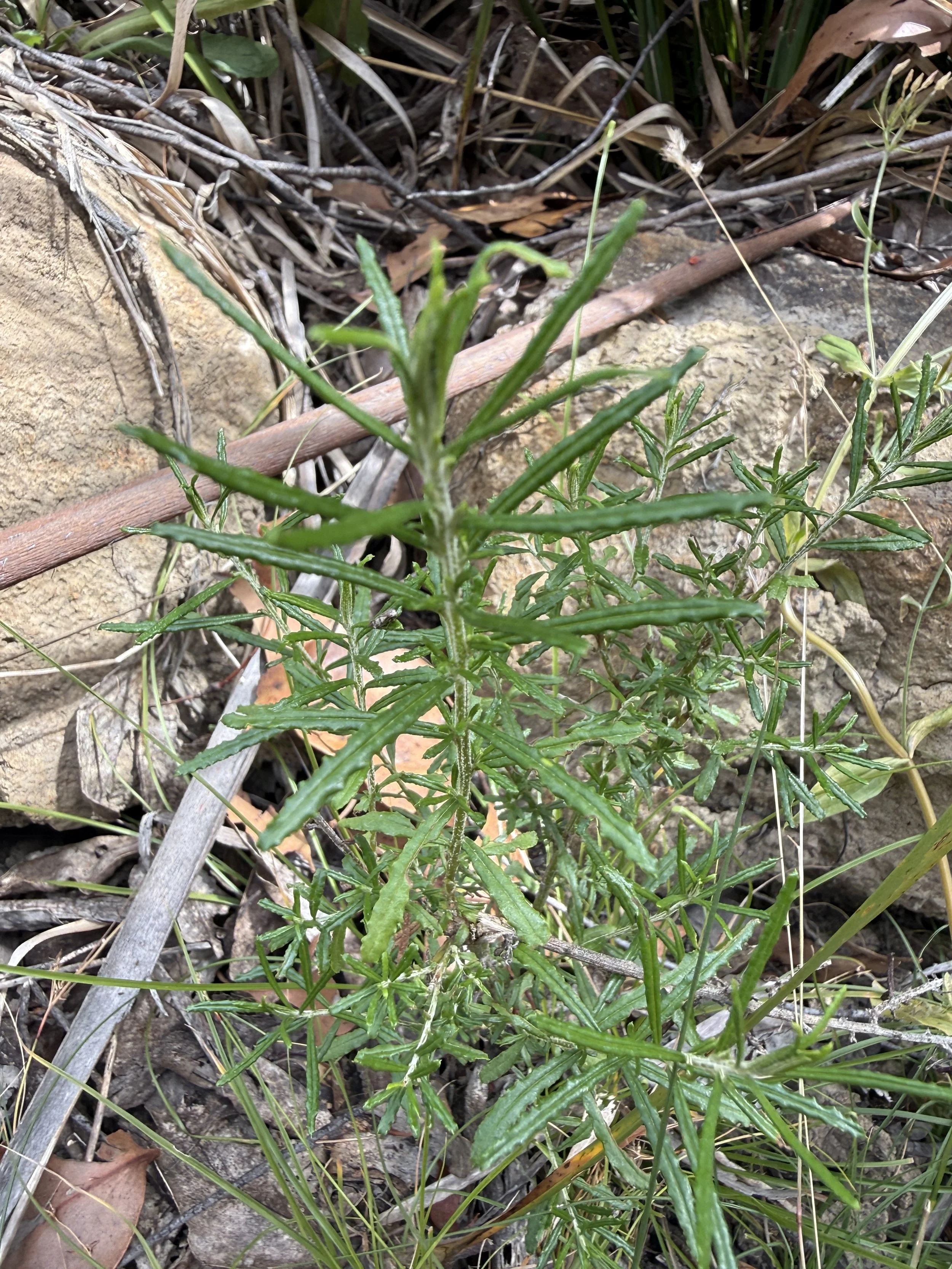 2026-02-28 14.17.17.jpg