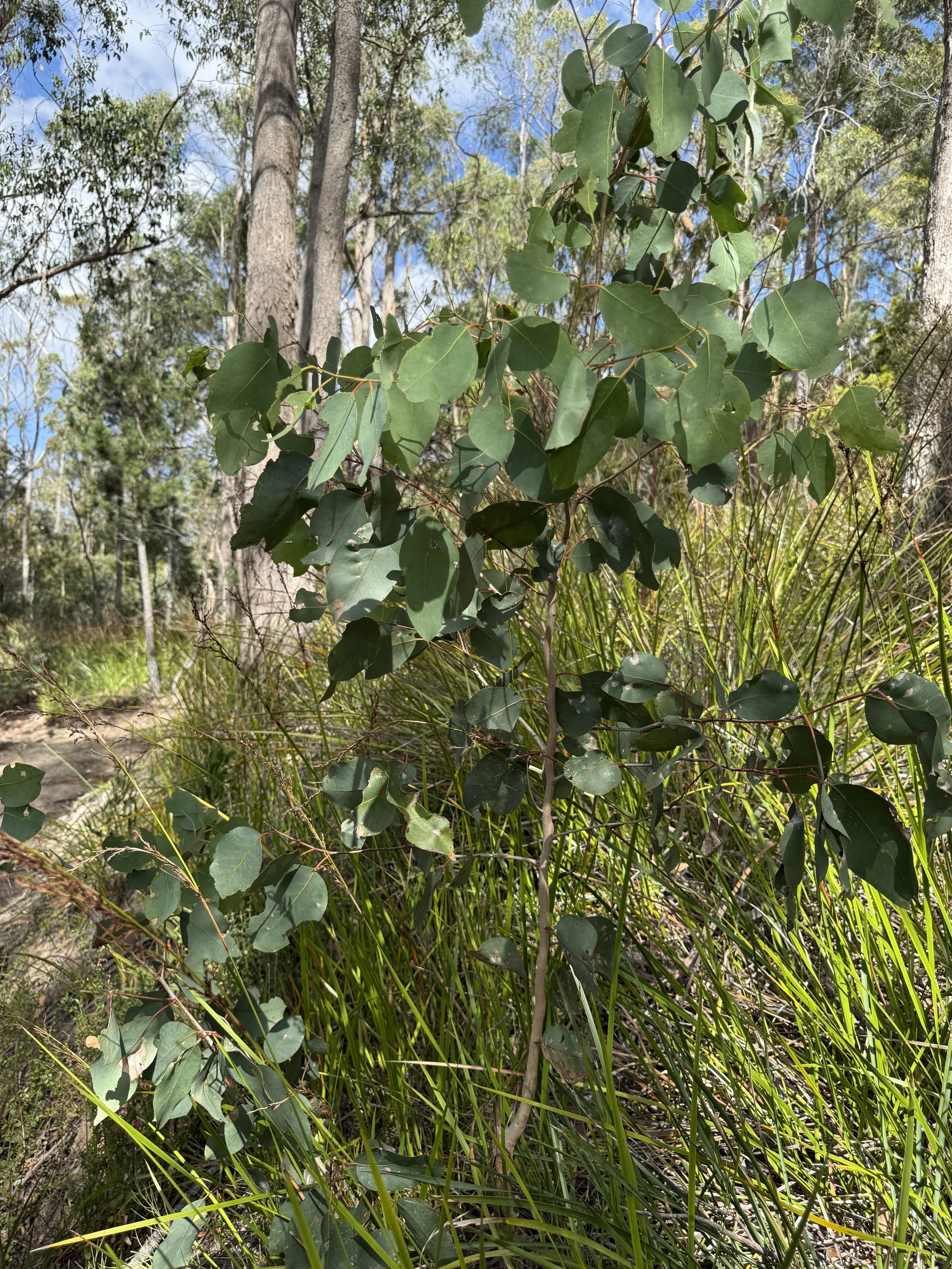 2026-02-28 15.05.47.jpg