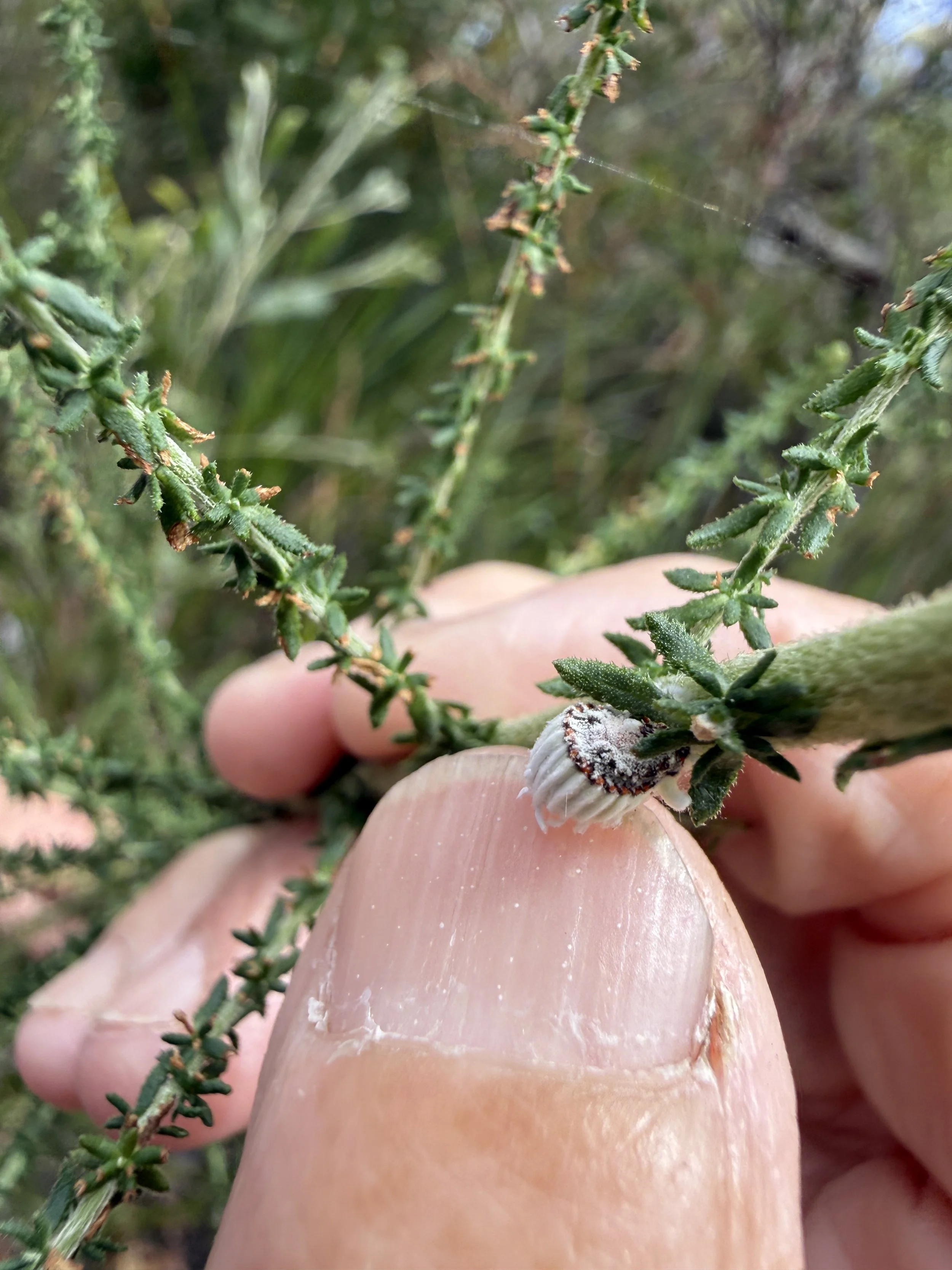 2026-02-28 14.46.50.jpg