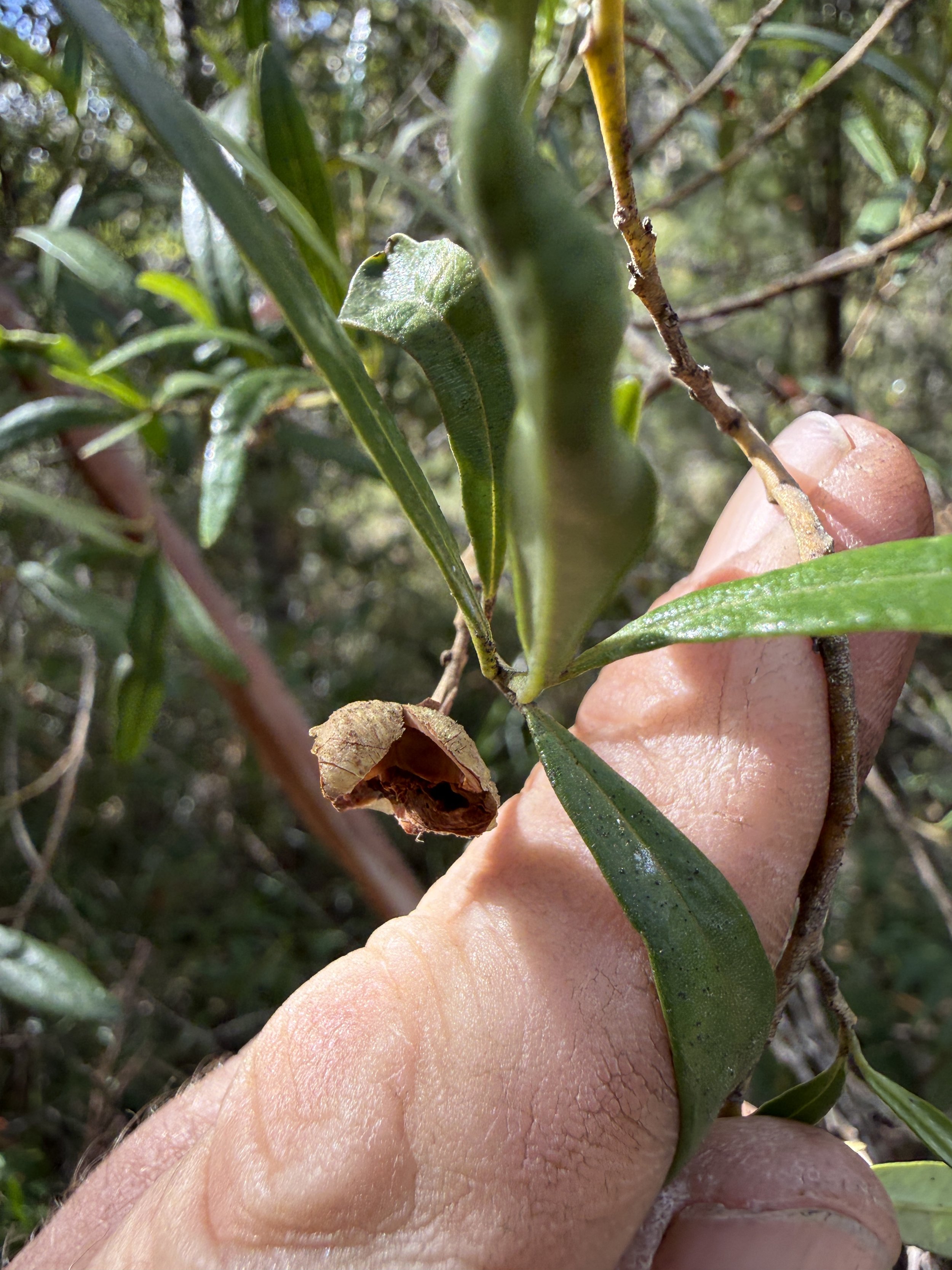 2026-02-28 15.08.52.jpg