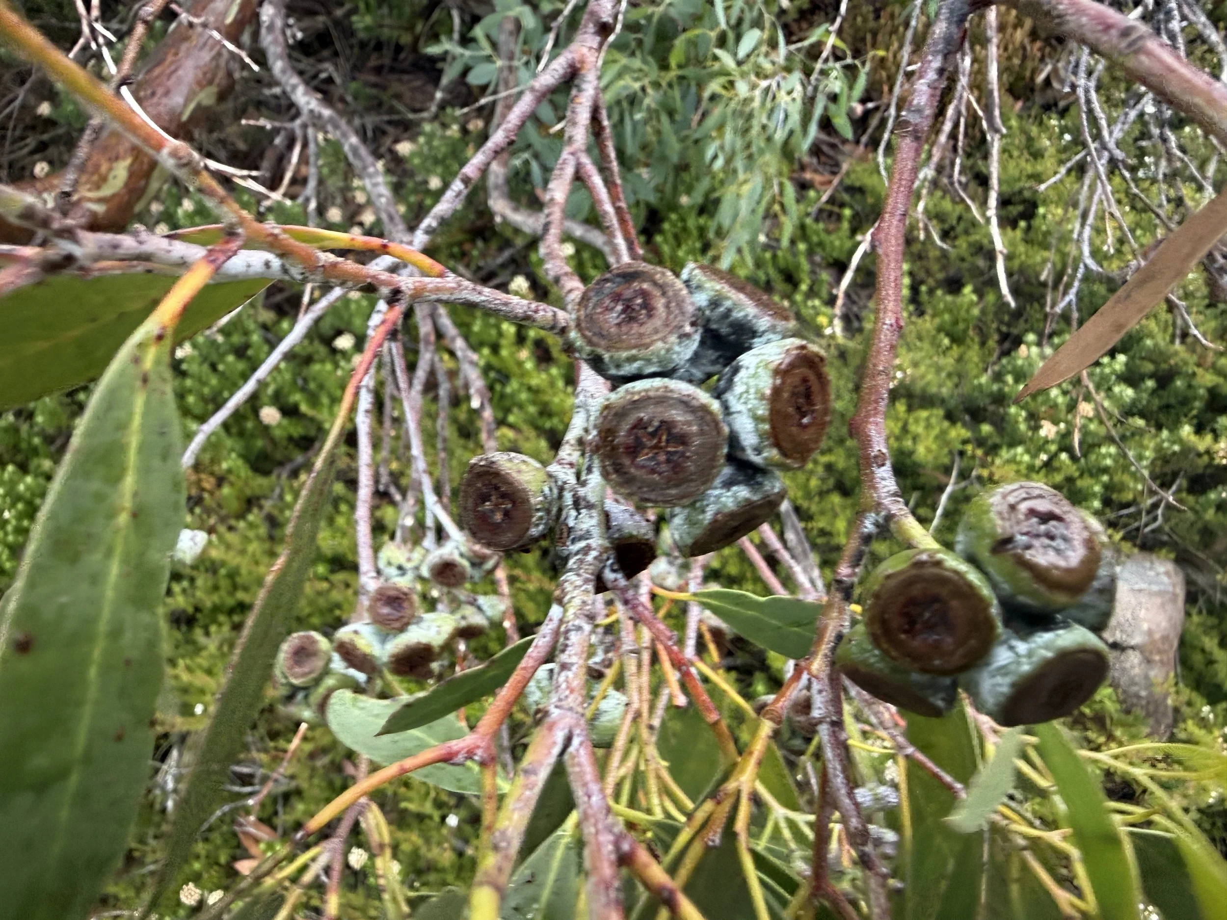 2026-02-22 12.43.22-1.jpg