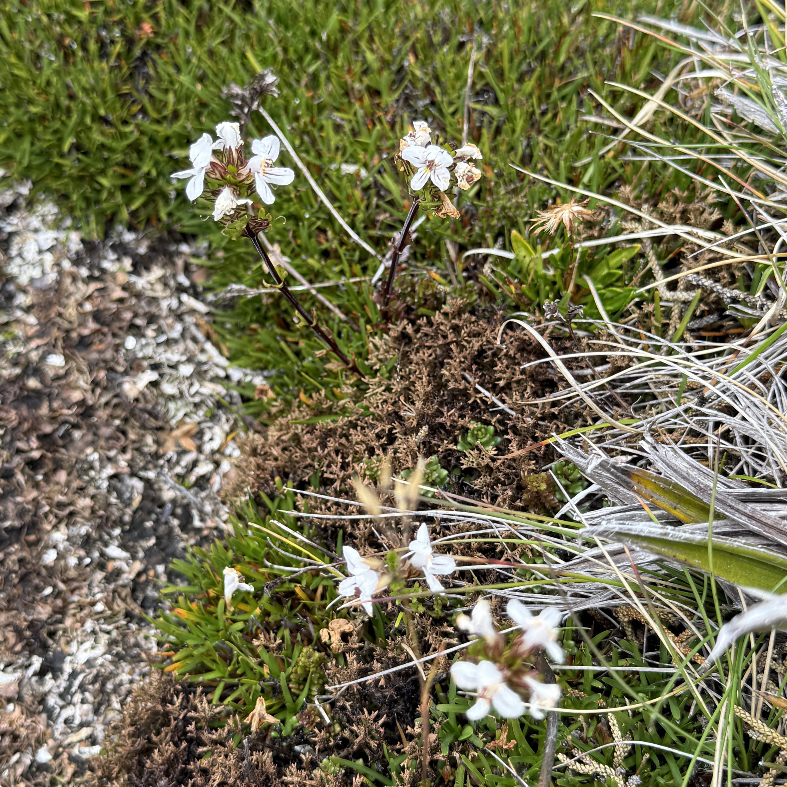 2026-02-22 12.01.28-2.jpg