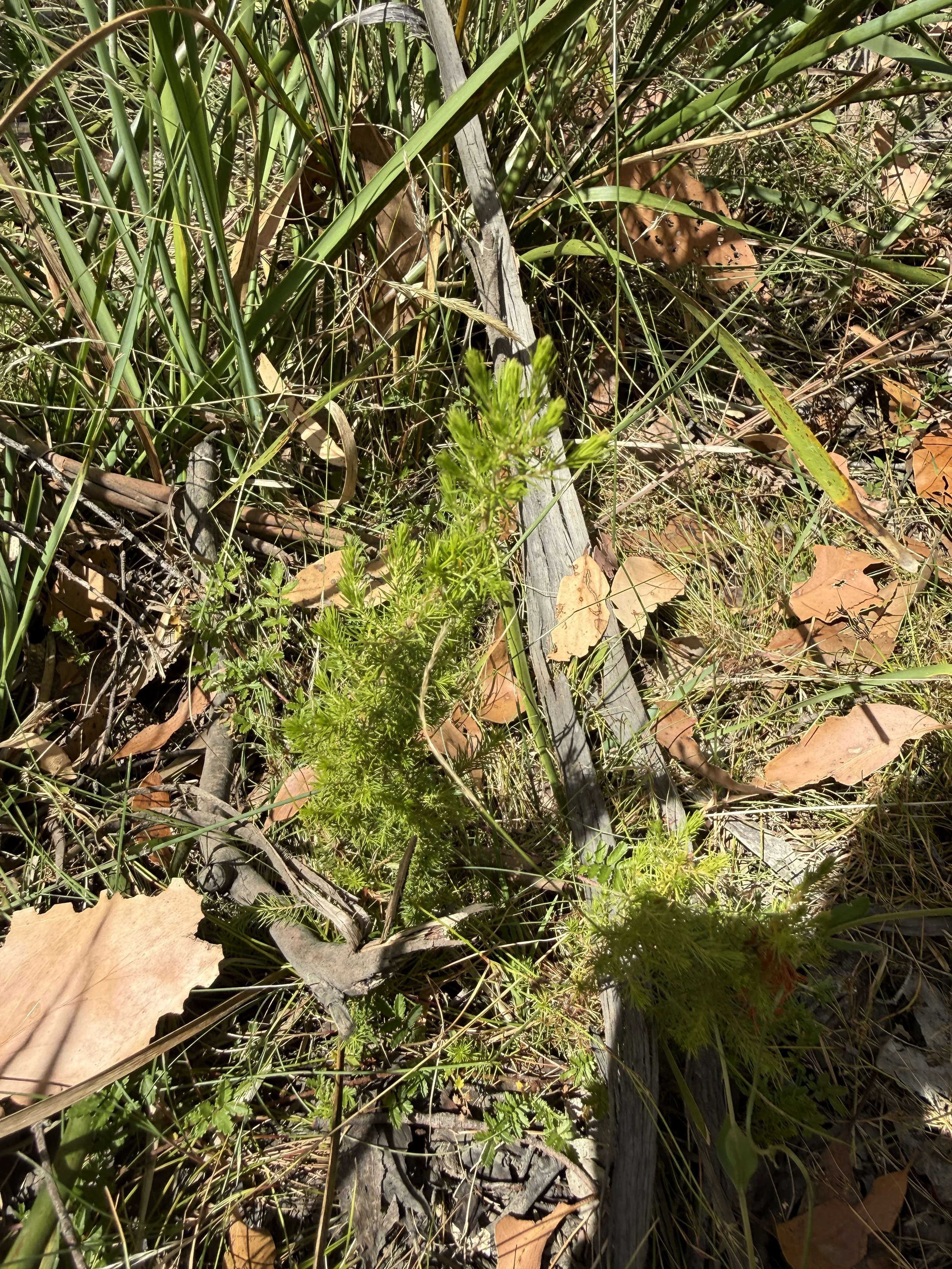 2026-02-28 14.19.35.jpg