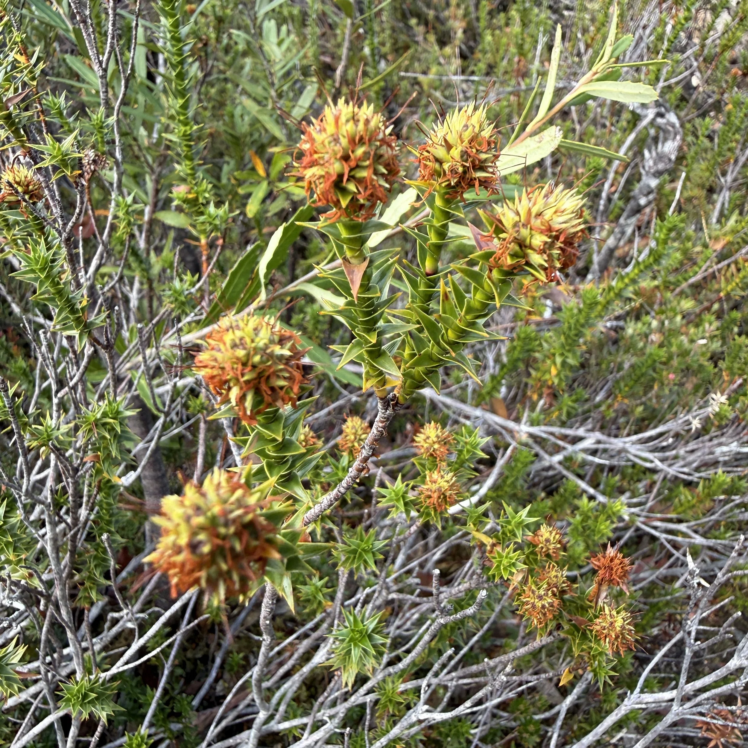 2026-02-22 10.38.20-2.jpg