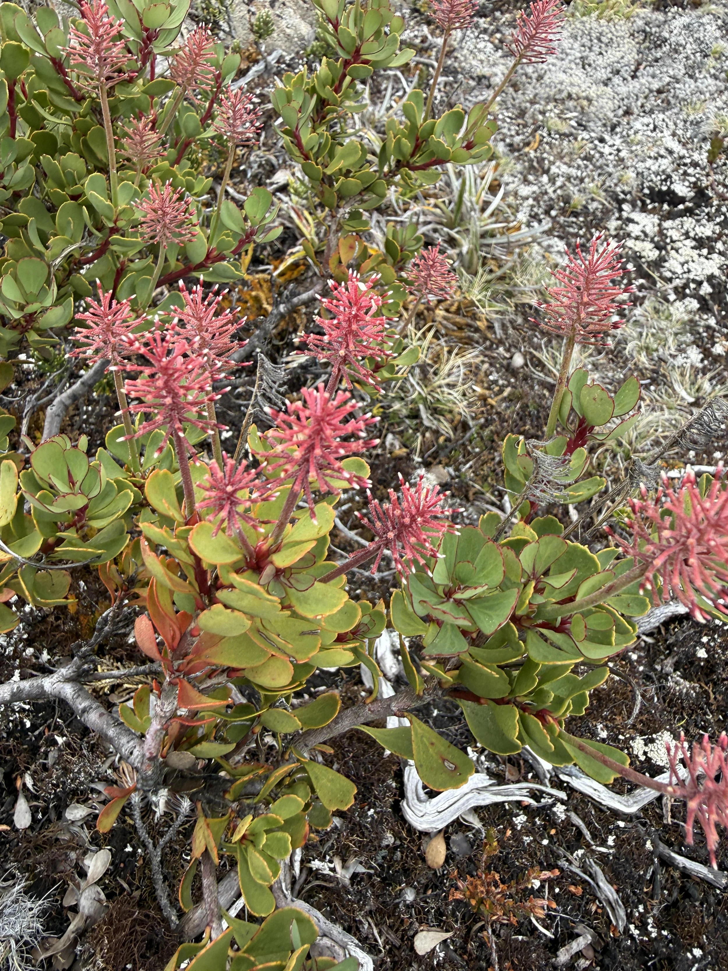 2026-02-22 11.59.47-1.jpg