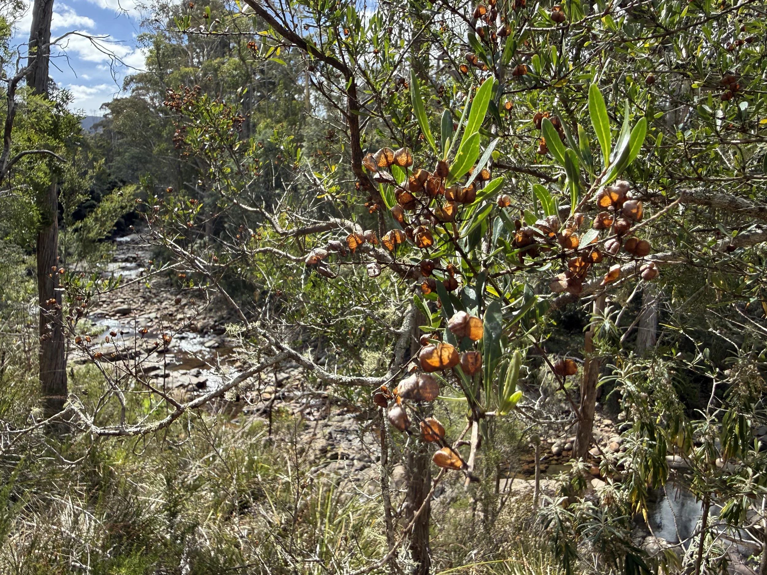 2026-02-28 14.54.25.jpg