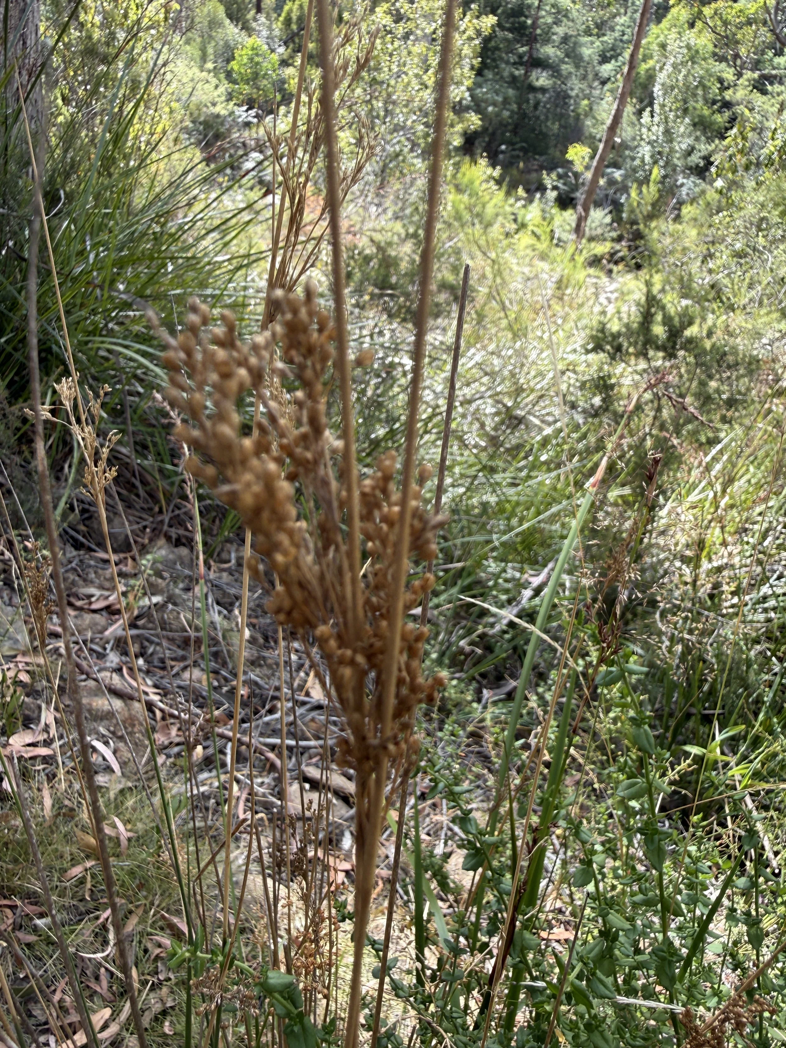 2026-02-28 15.06.15.jpg