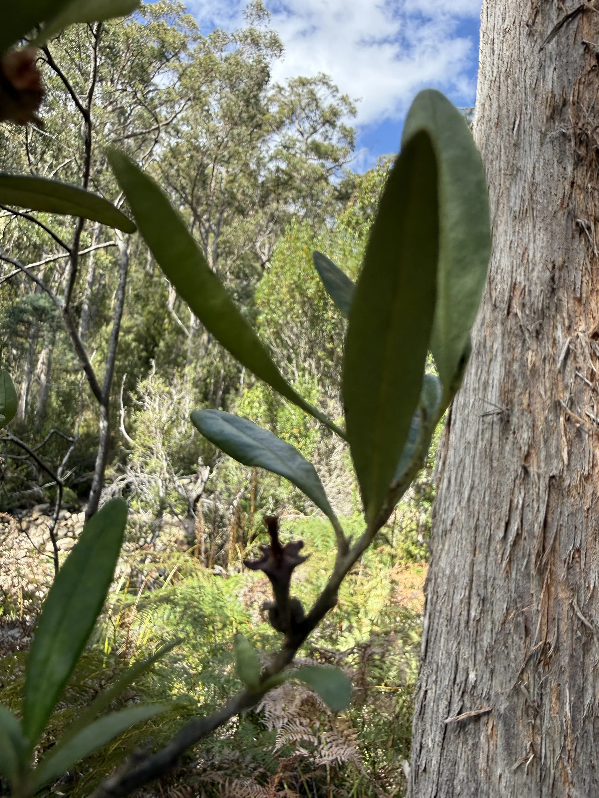 2026-02-28 15.19.13.jpg