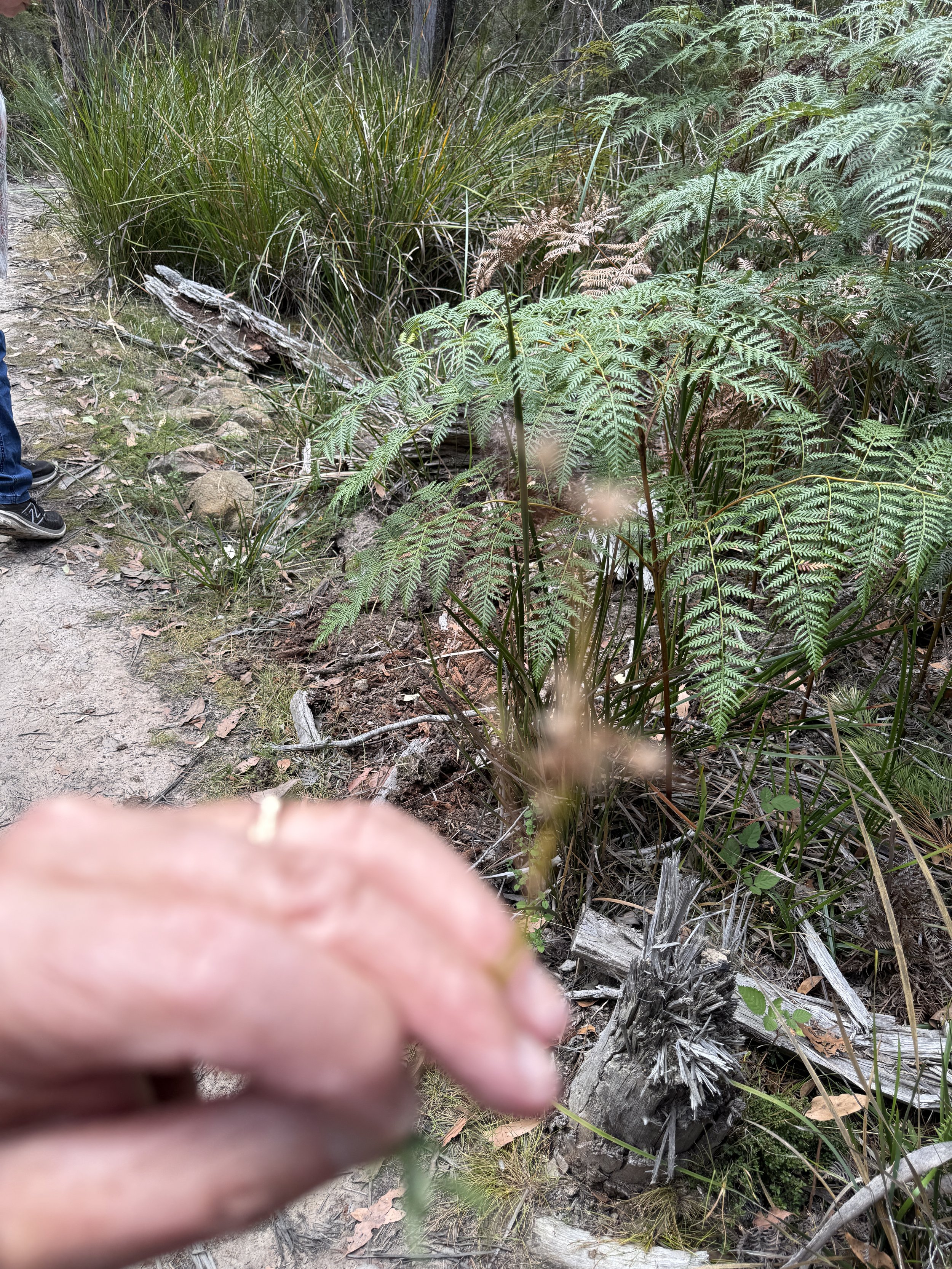 2026-02-28 14.24.55.jpg