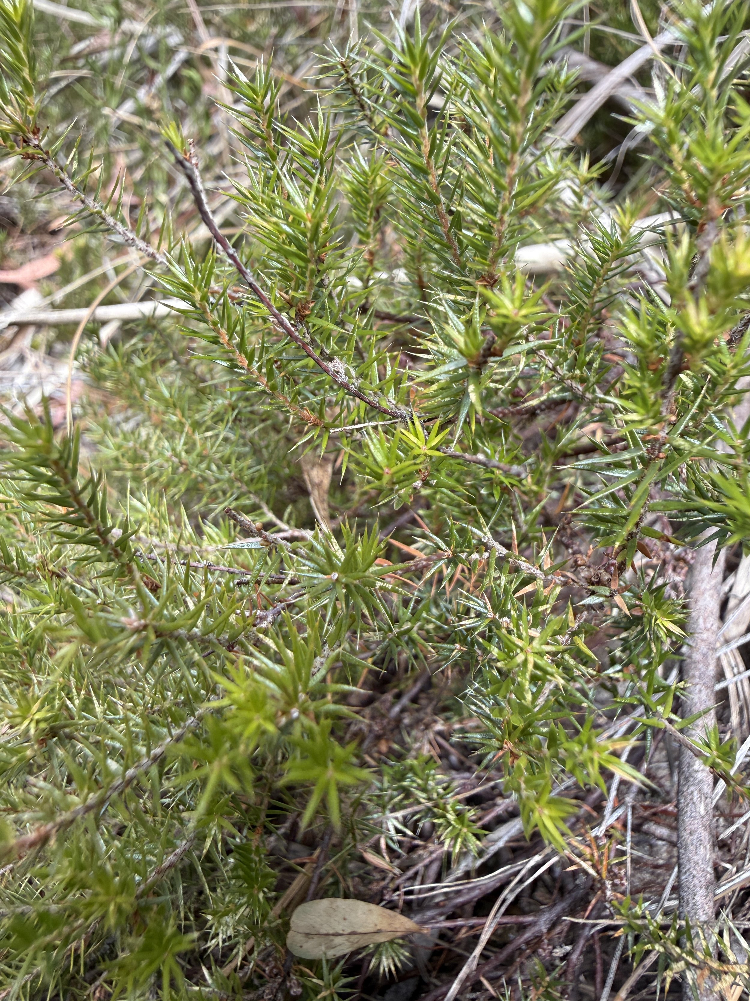 2026-02-28 14.59.49.jpg