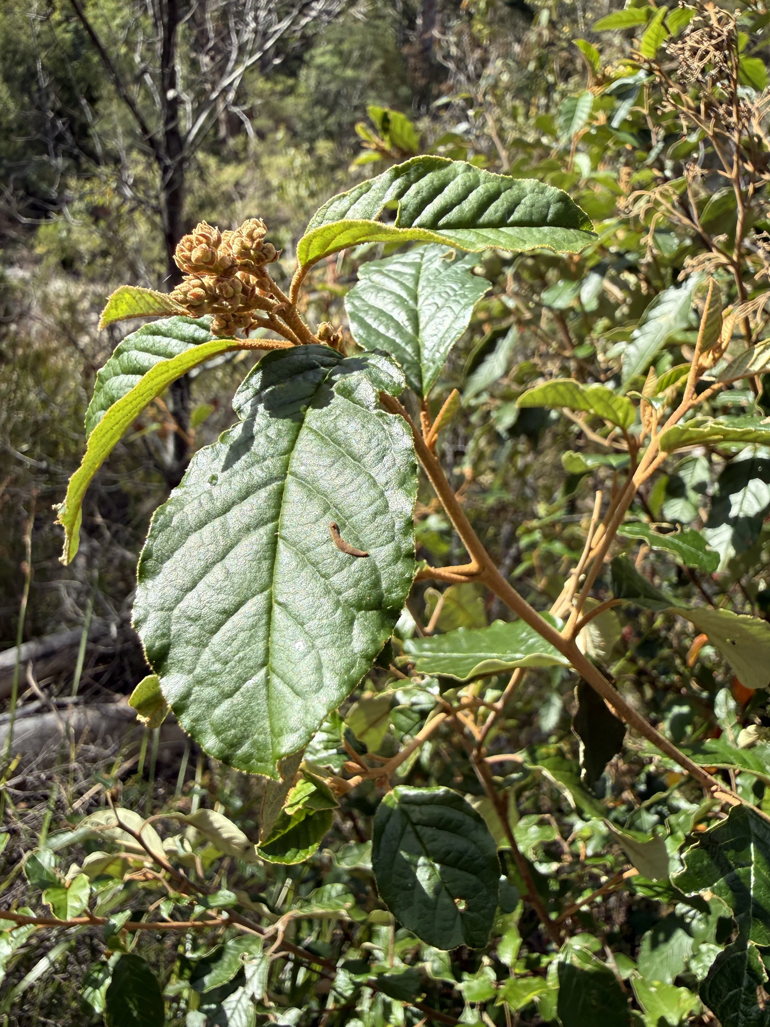 2026-02-28 15.04.54.jpg