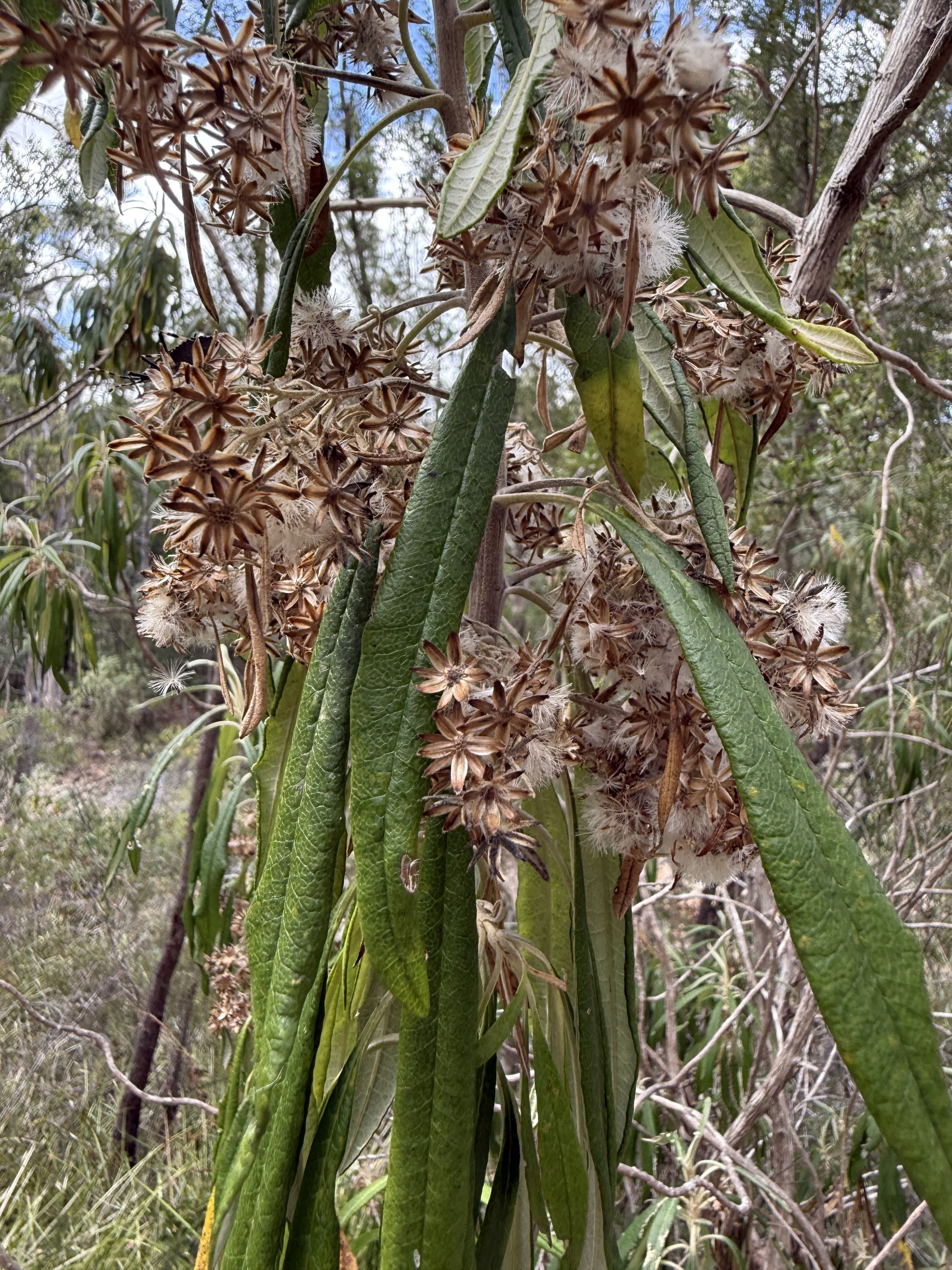 2026-02-28 14.48.55.jpg