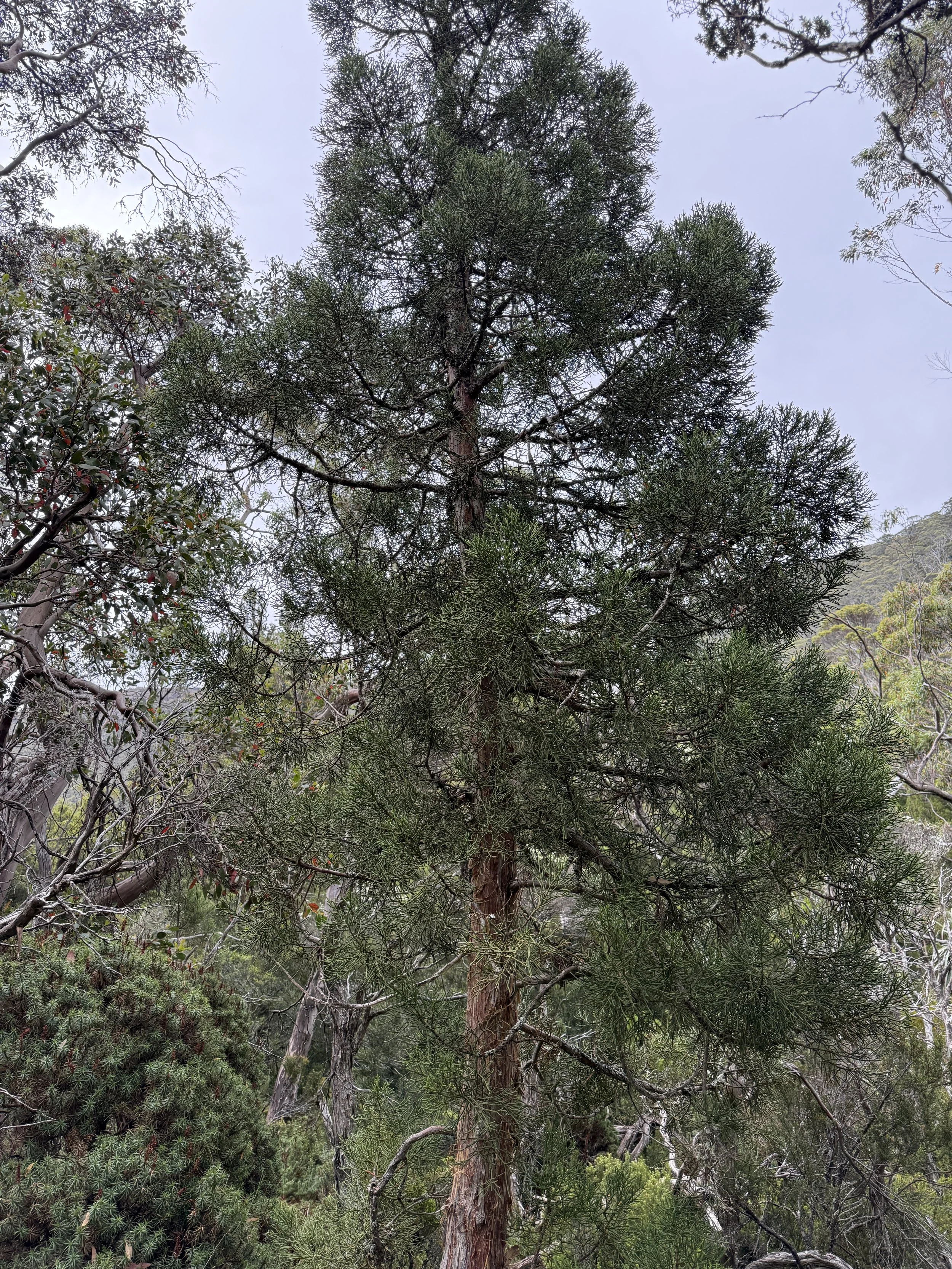 2026-02-22 13.50.59-1.jpg